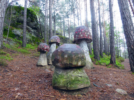 The mushroom path in the Laranz forest Kastelruth/Castelrotto 3 suedtirol.info
