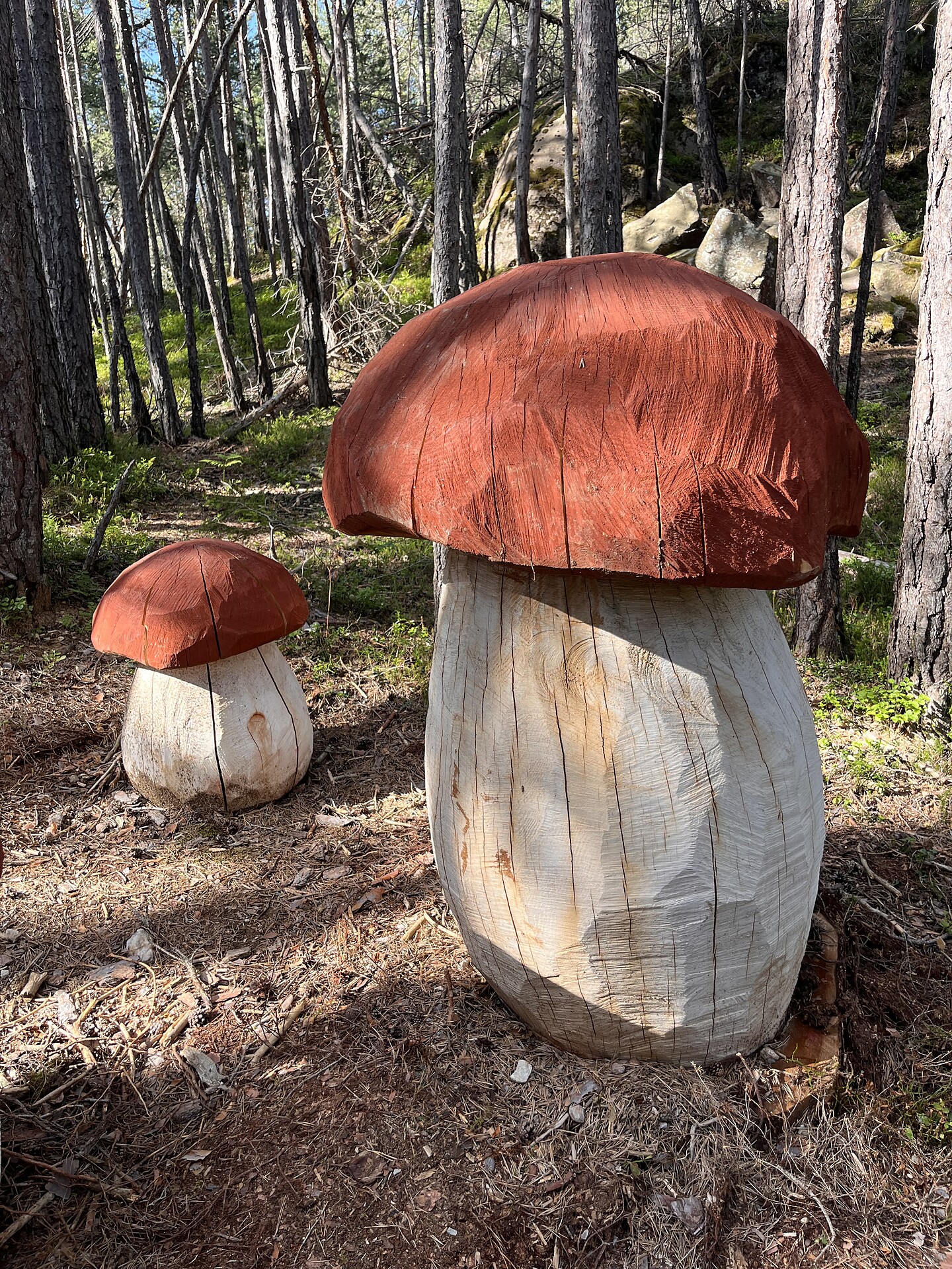 Il sentiero dei funghi nel bosco di Laranza - Regione dolomitica Alpe di Siusi - #6 - suedtirol.info