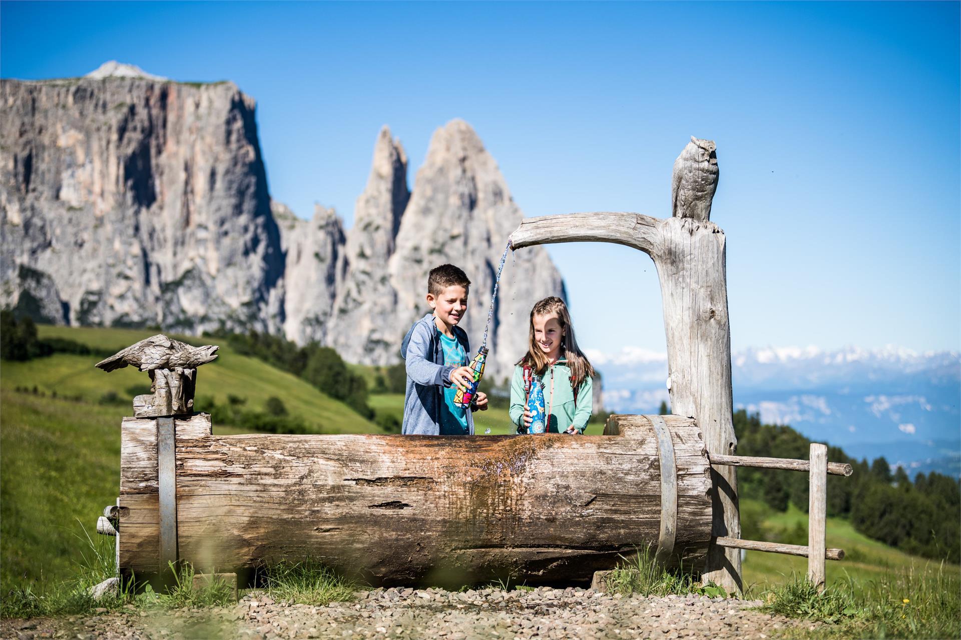 The Tschon boulder on the Seiser Alm Kastelruth/Castelrotto 2 suedtirol.info