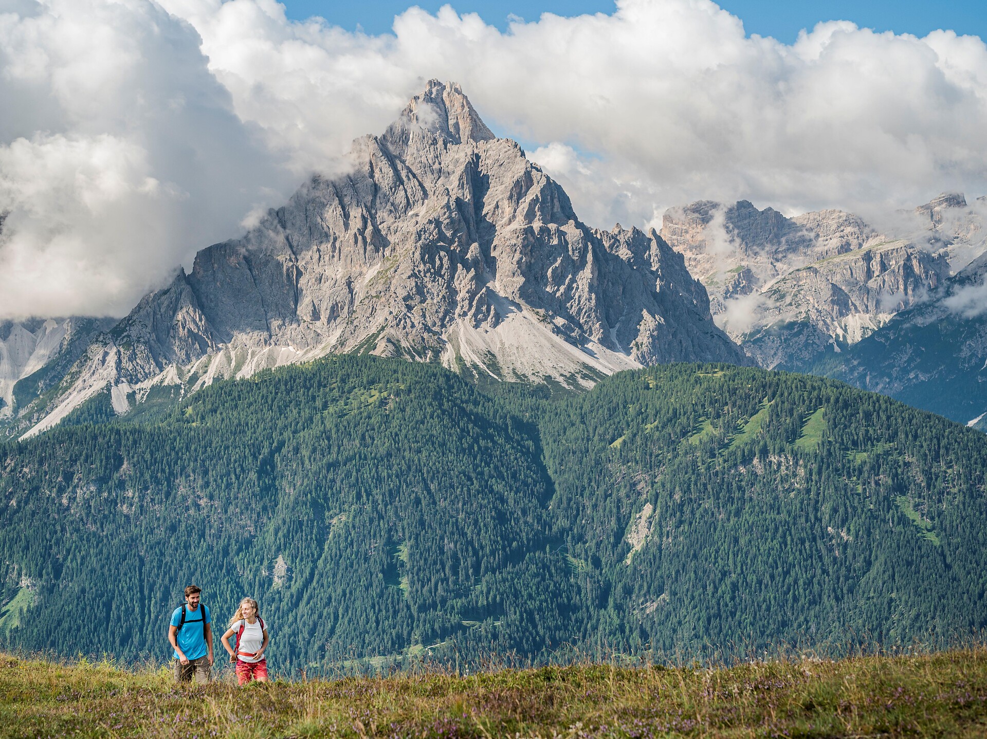 Durch den Tannenwald nach Vierschach -  - #1 - suedtirol.info