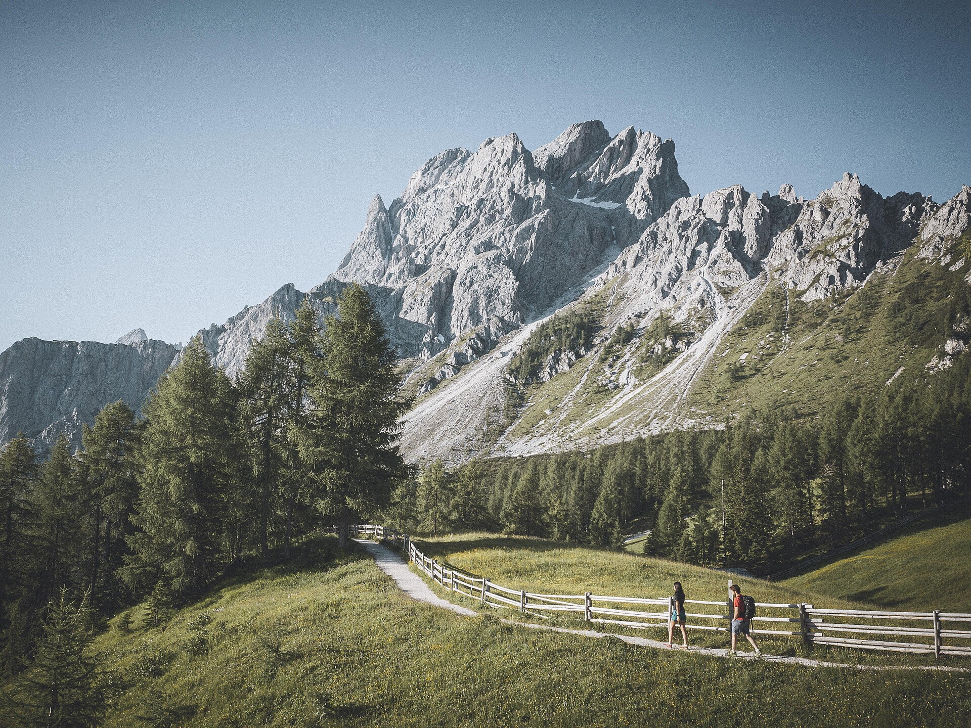 Through the "Kuhwald" forest to the Hotel Dolomitenhof -  - #1 - suedtirol.info
