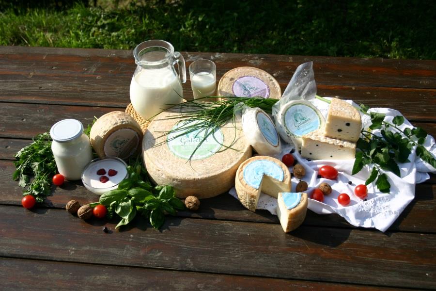 Il sentiero dei masi tra S. Sigismondo e Chienes Chienes 2 suedtirol.info