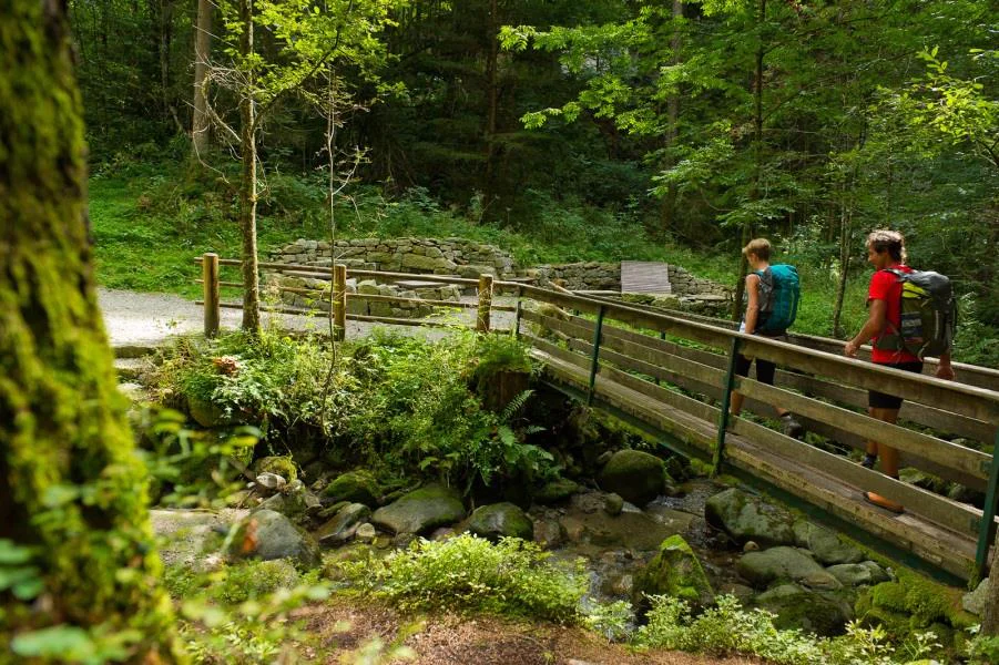 Der Höfeweg zwischen St. Sigmund und Kiens