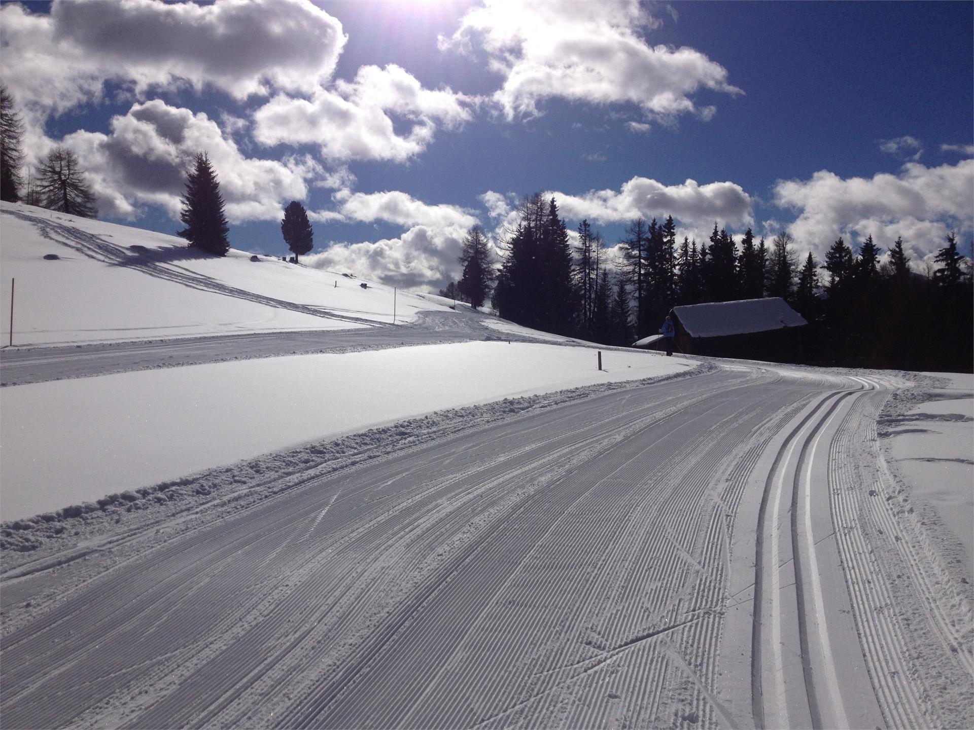 Loipe Armentara - Valacia La Val 1 suedtirol.info