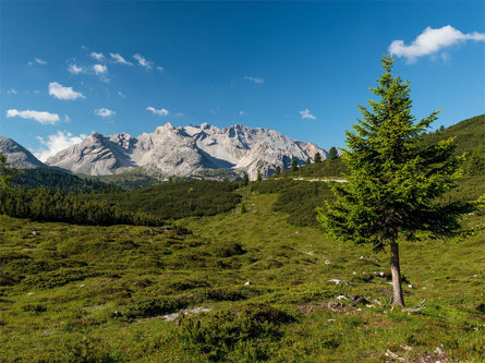 Alpine Path of the Dolomites no. 1 - stage 2 & 3 Al Plan/San Vigilio 2 suedtirol.info