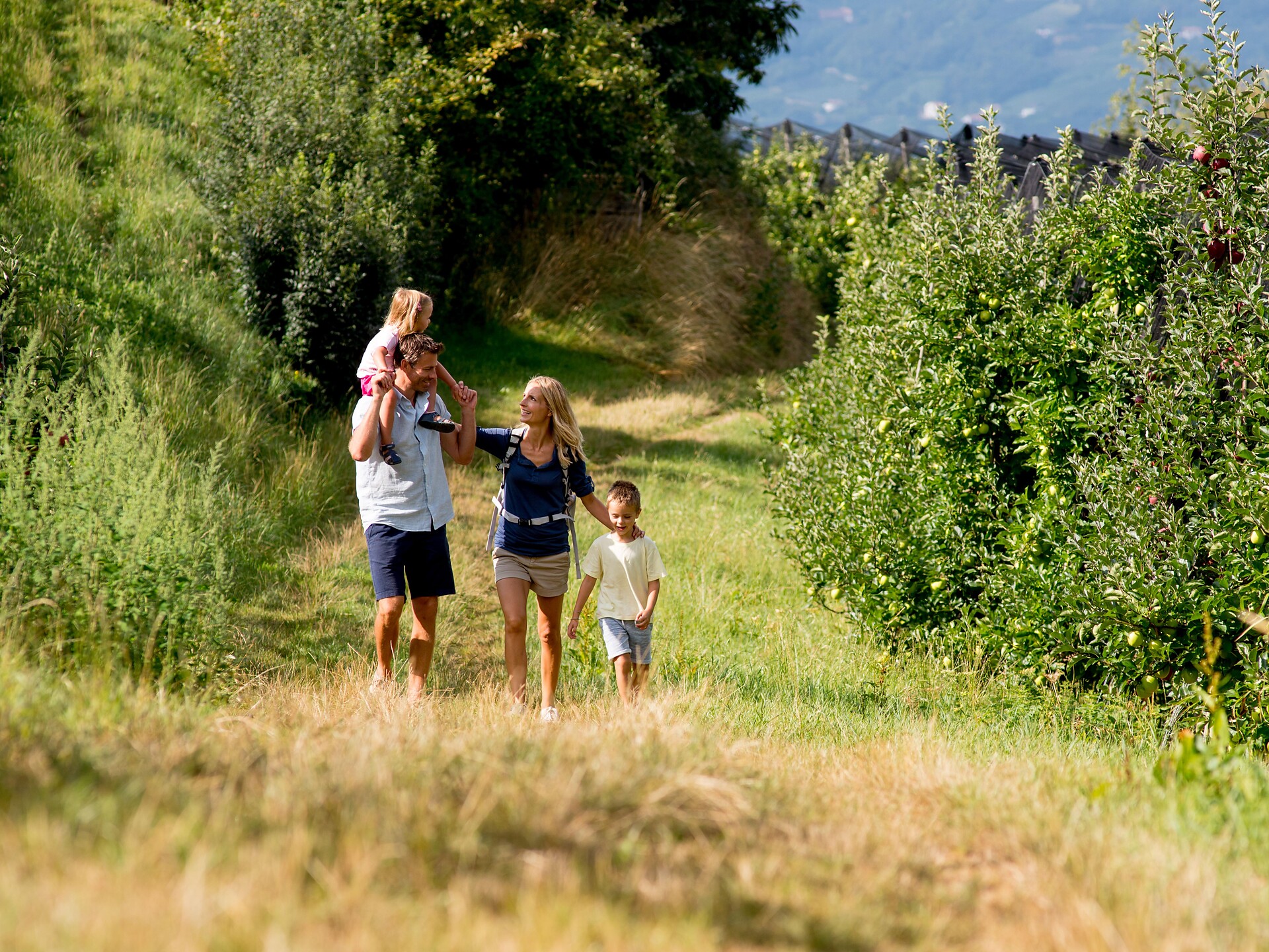 Waldweg path