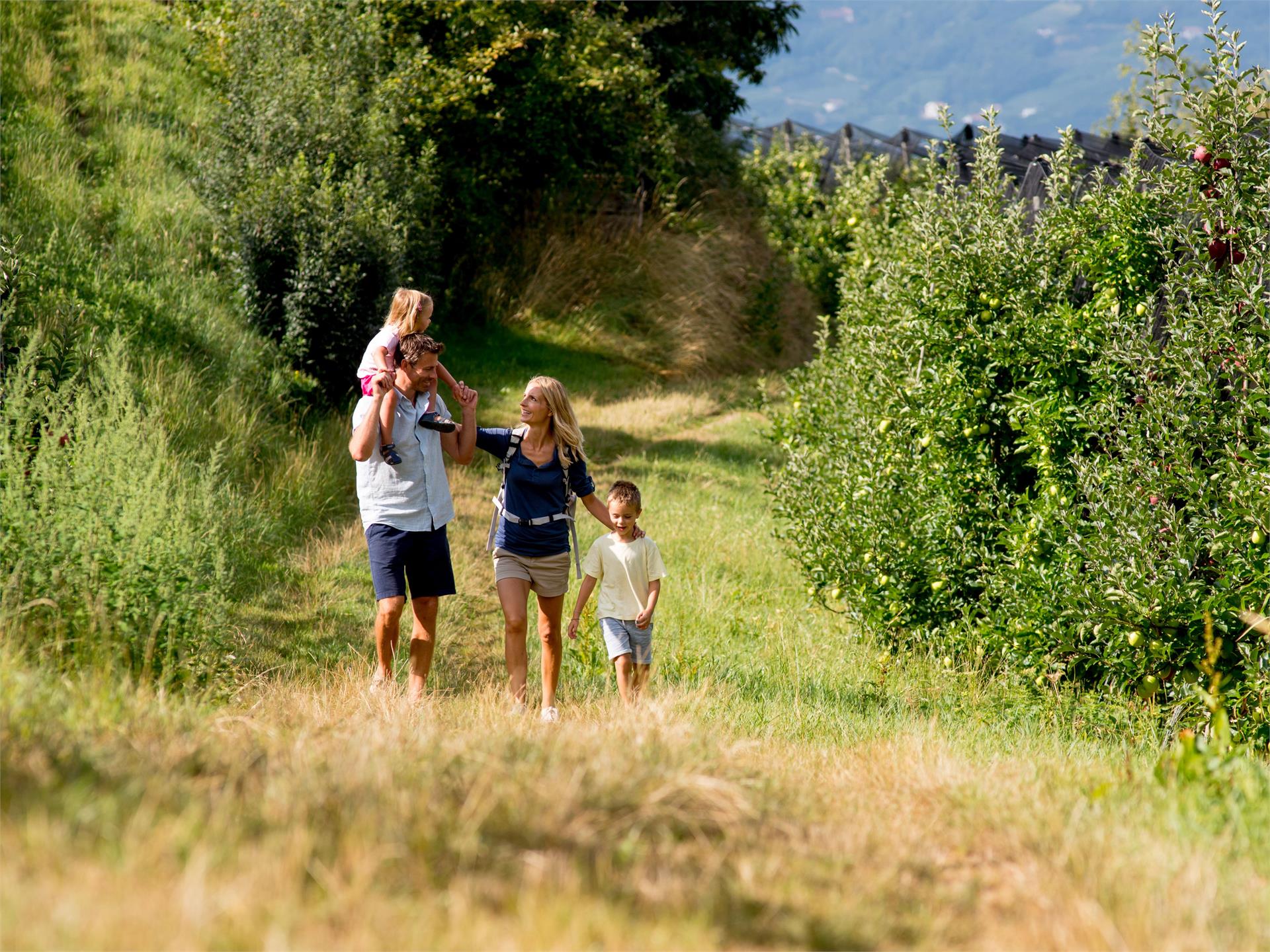 Der Waldweg Schenna 4 suedtirol.info
