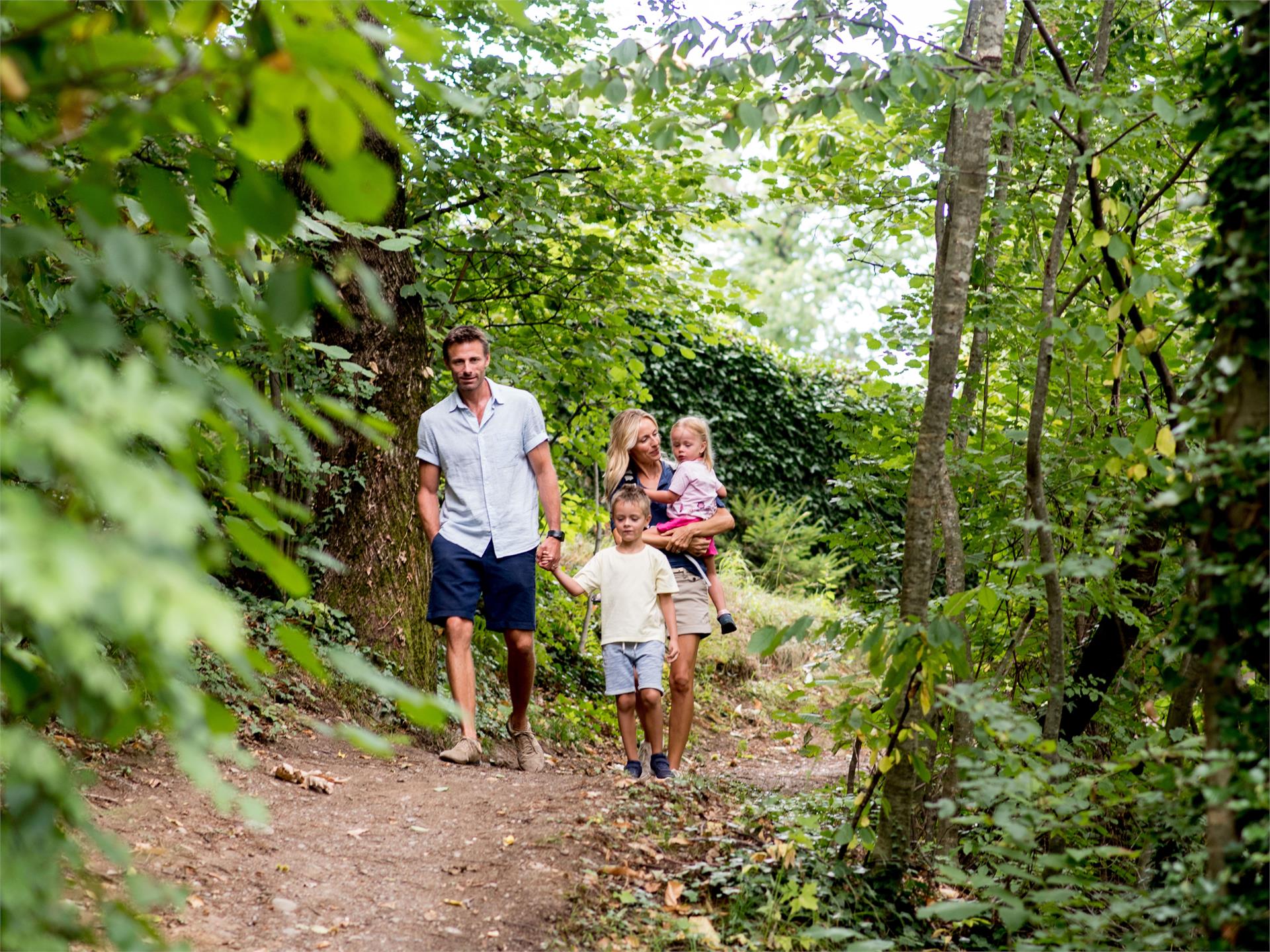 Der Waldweg Schenna 1 suedtirol.info
