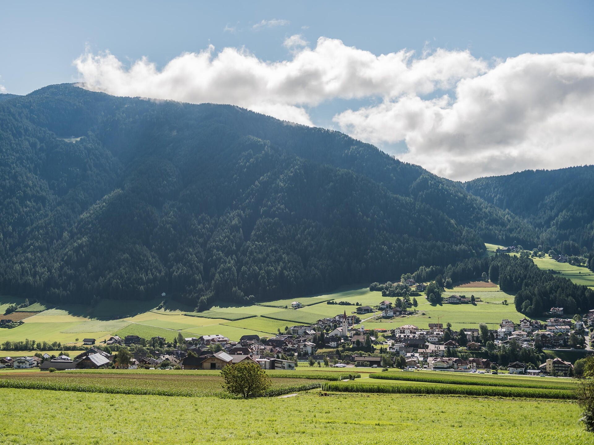 Dorfrundweg Rasen: Rundwanderung zwischen Nieder- und Oberrasen - Dolomitenregion Kronplatz - #4 - suedtirol.info