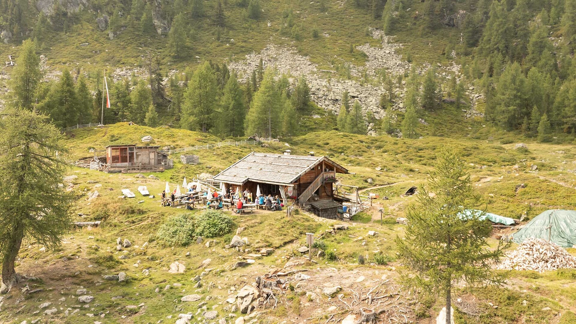 Drei Almenwanderung am Nörderberg