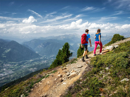 The Brixen High Mountain Trail on the Plose Mountain Brixen/Bressanone 1 suedtirol.info