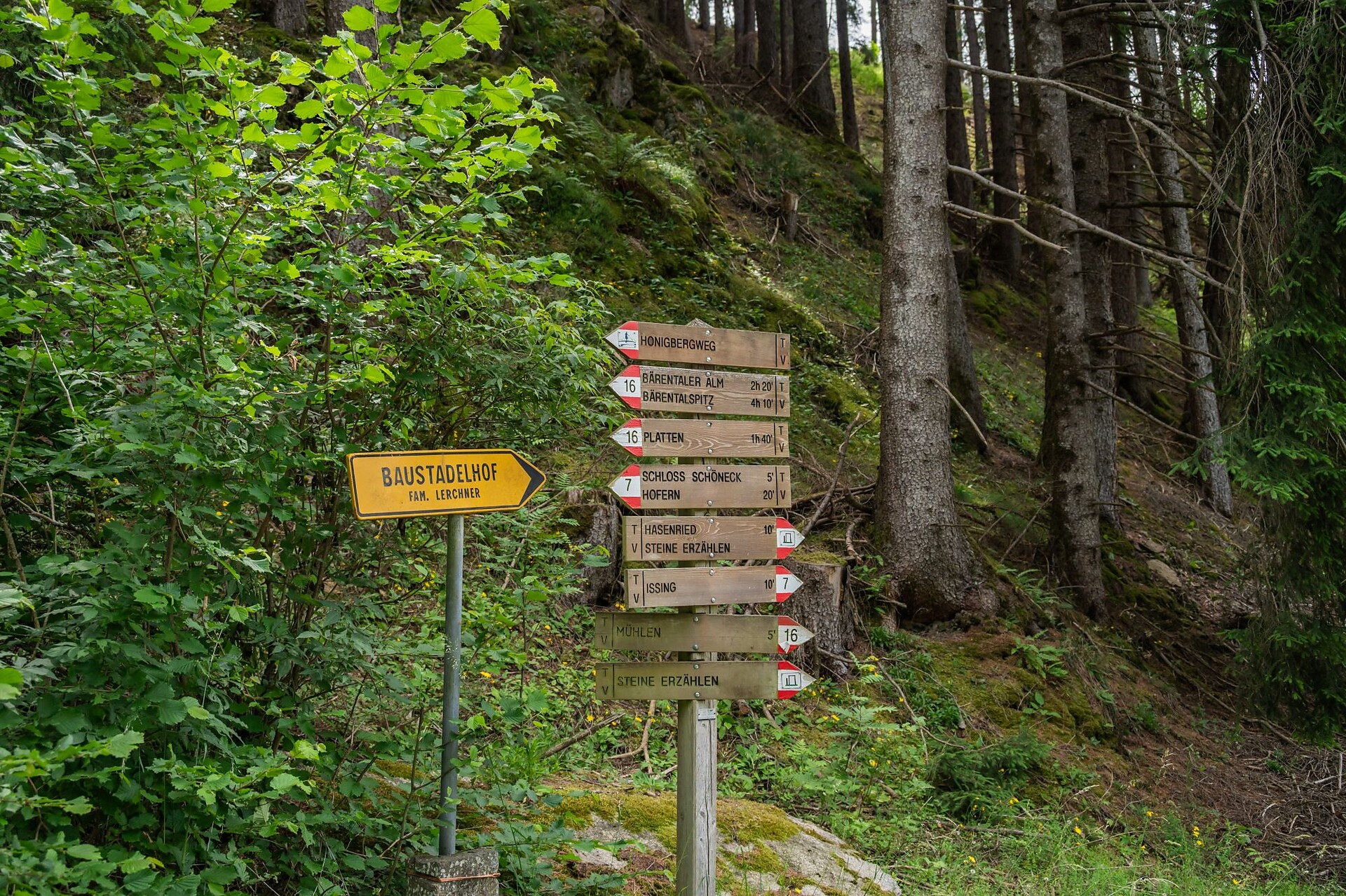 Escursione culturale da Chienes al lago di Issingen passando per il castello di Schöneck - Regione dolomitica Plan de Corones - #2 - suedtirol.info