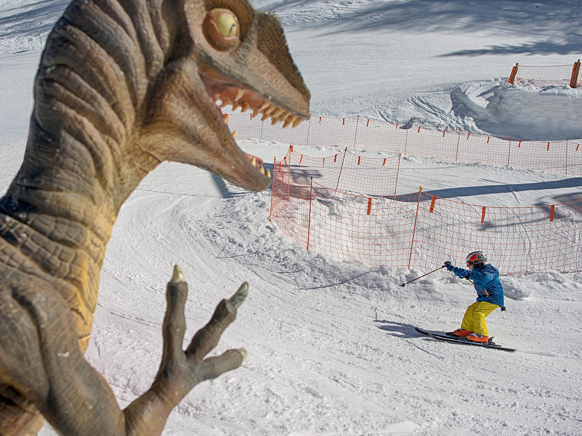 Dino Funline