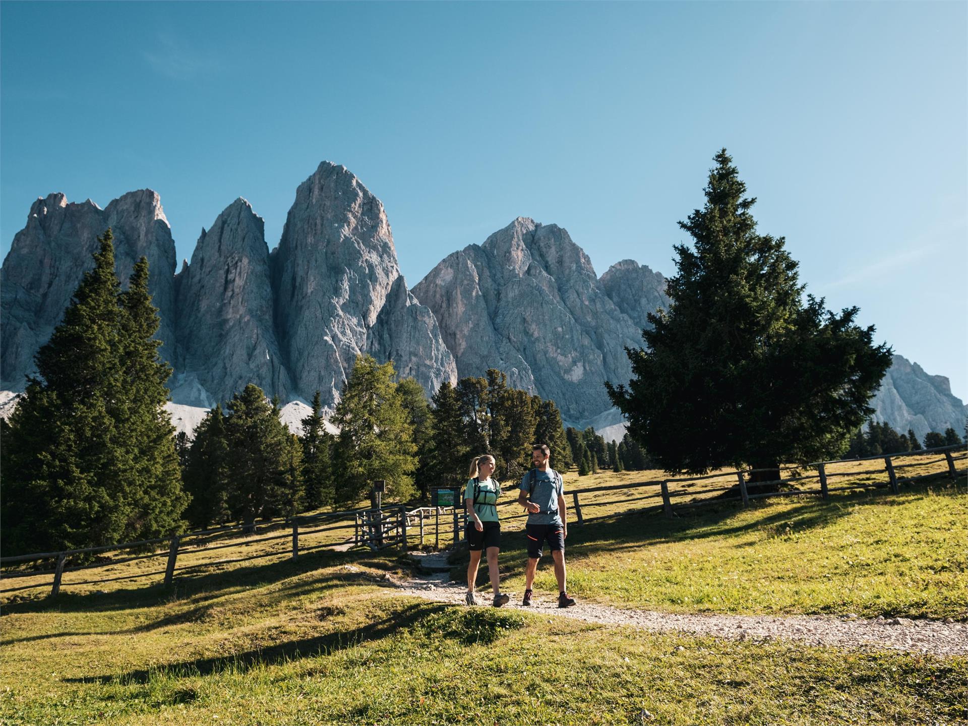Der Munkelweg unter den Geislerspitzen Villnöss 1 suedtirol.info