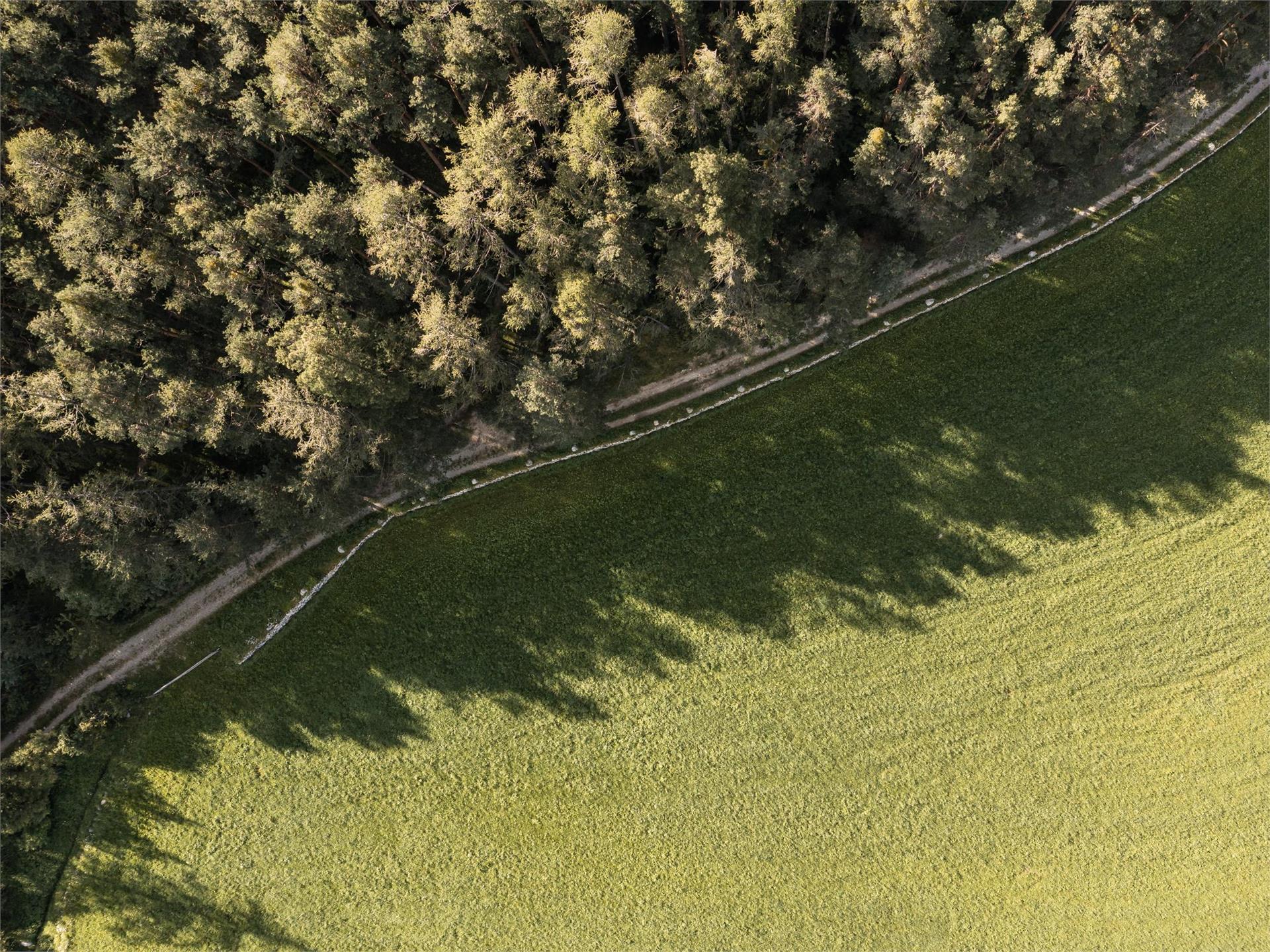 Una vista del laghetto-biotopo "Sommersürs" a Naz Naz-Sciaves 1 suedtirol.info