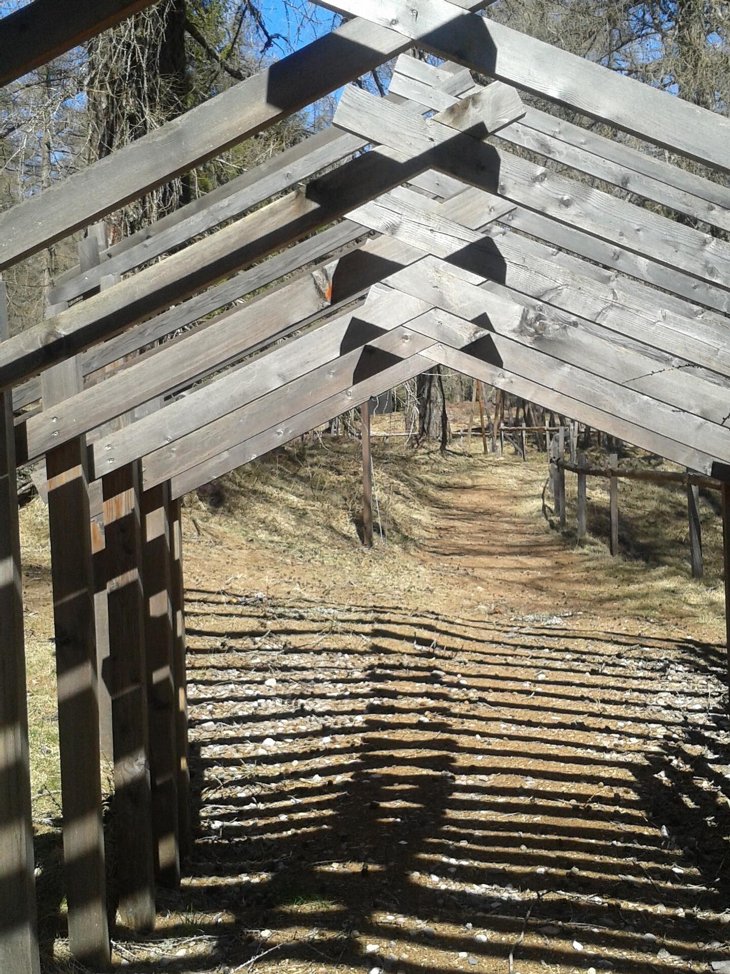 Path of the breath in Anterivo