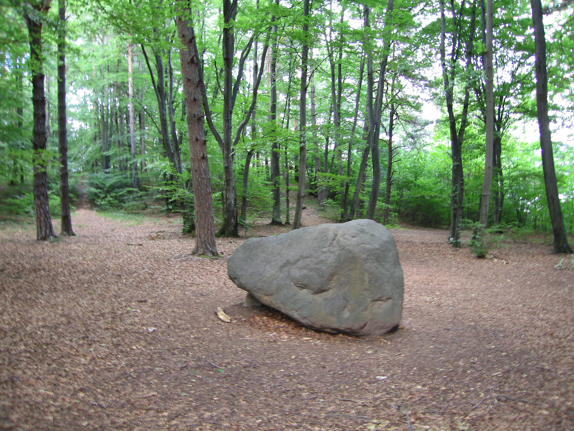 Der Kalterer Friedensweg