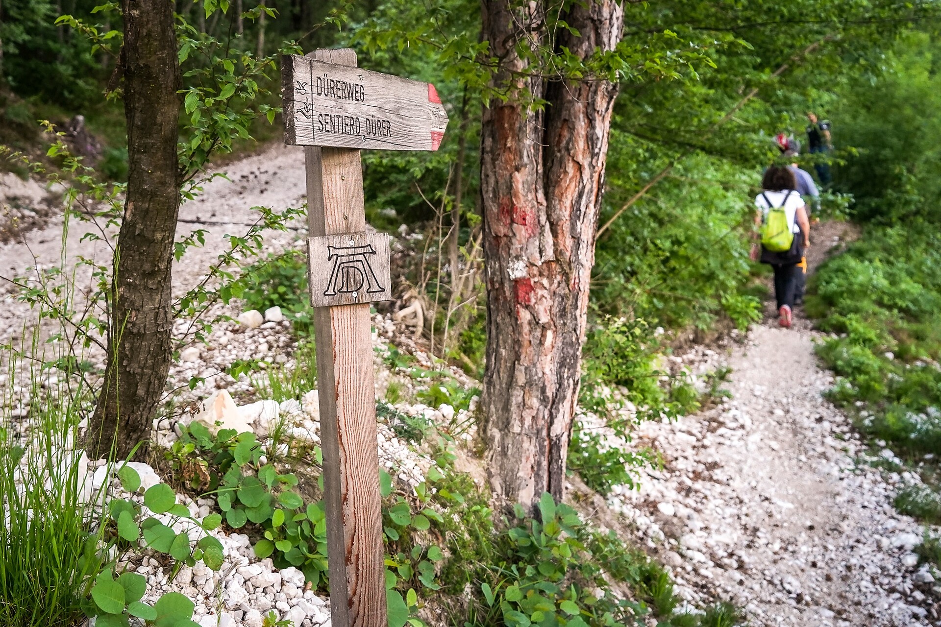 The Dürer path - Hospice San Floriano to the Lago Santo - Alto Adige Wine Road - #1 - suedtirol.info