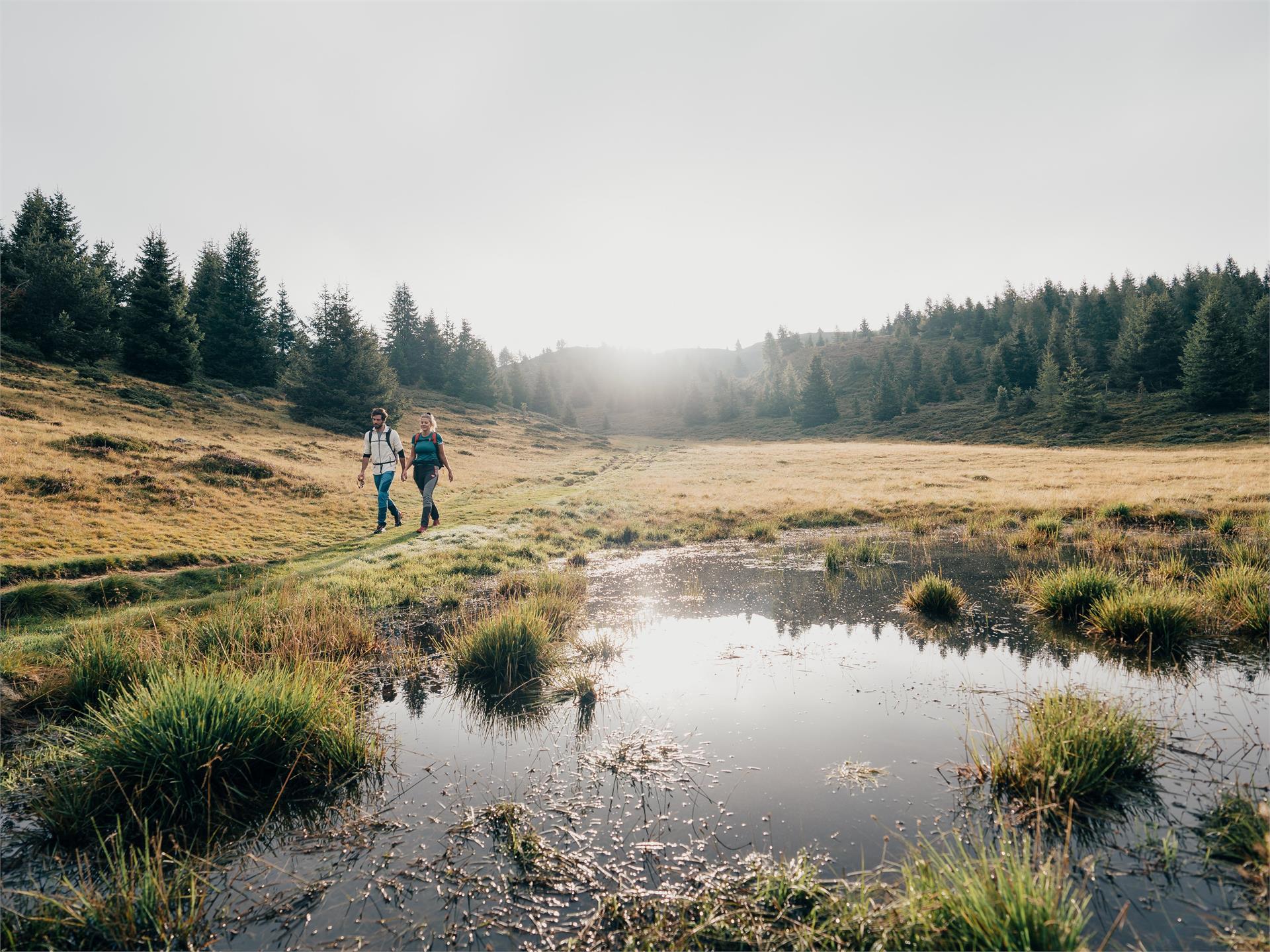 Dolorama Weitwanderweg Lajen 2 suedtirol.info