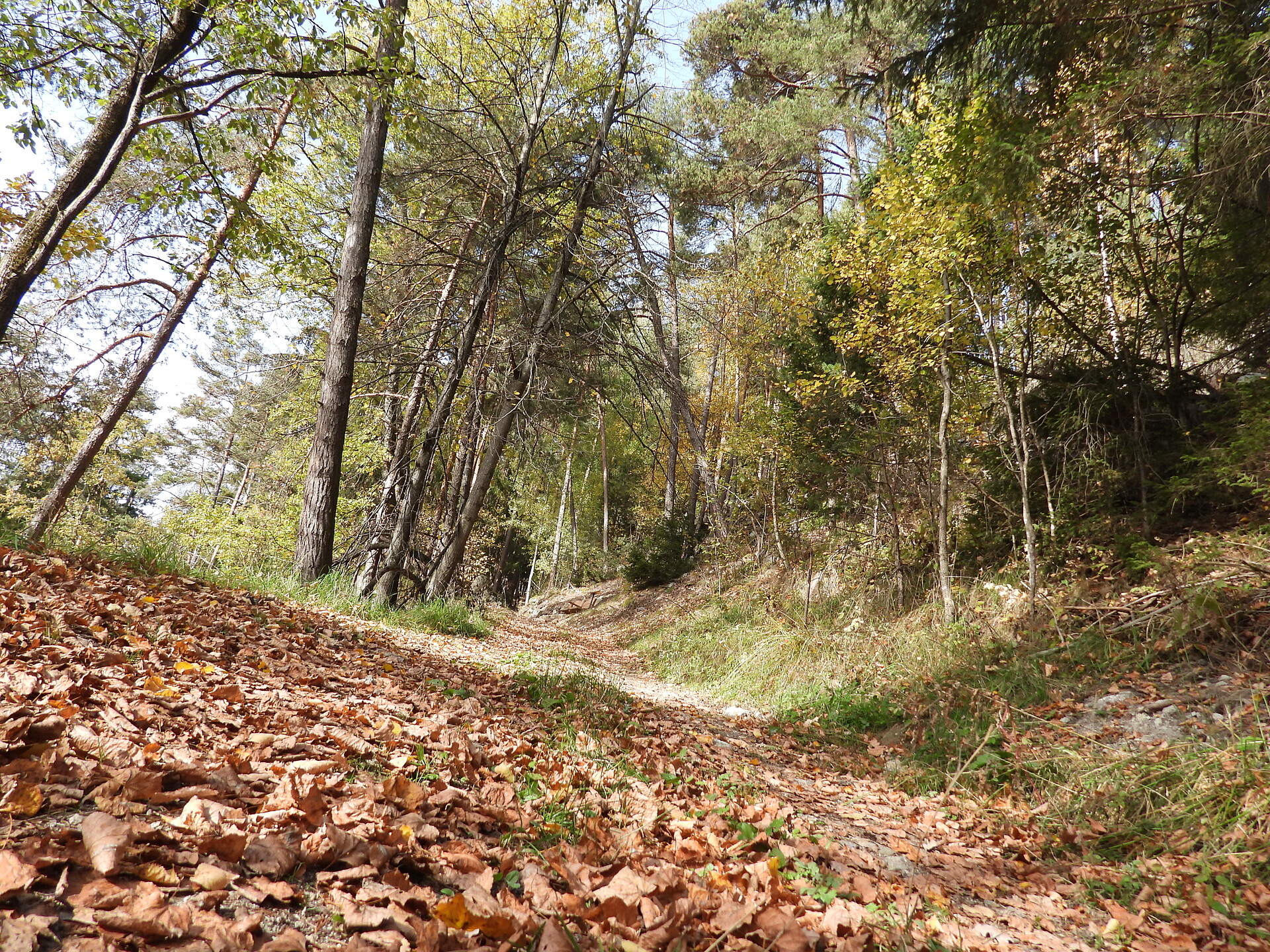 Herbst 3