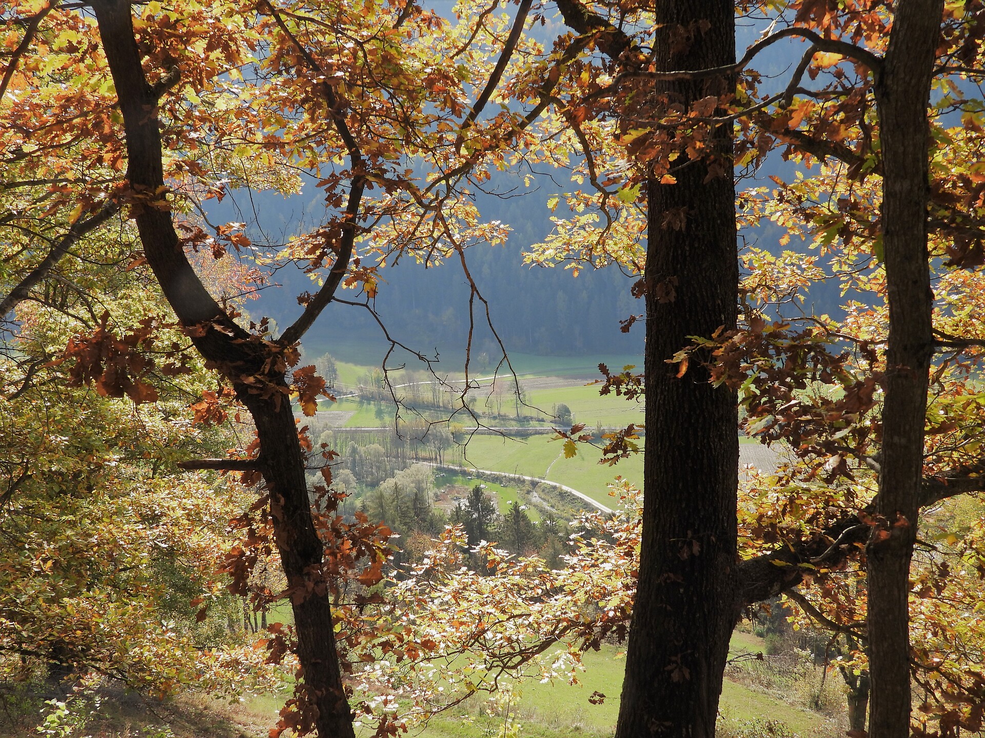 Herbst 4