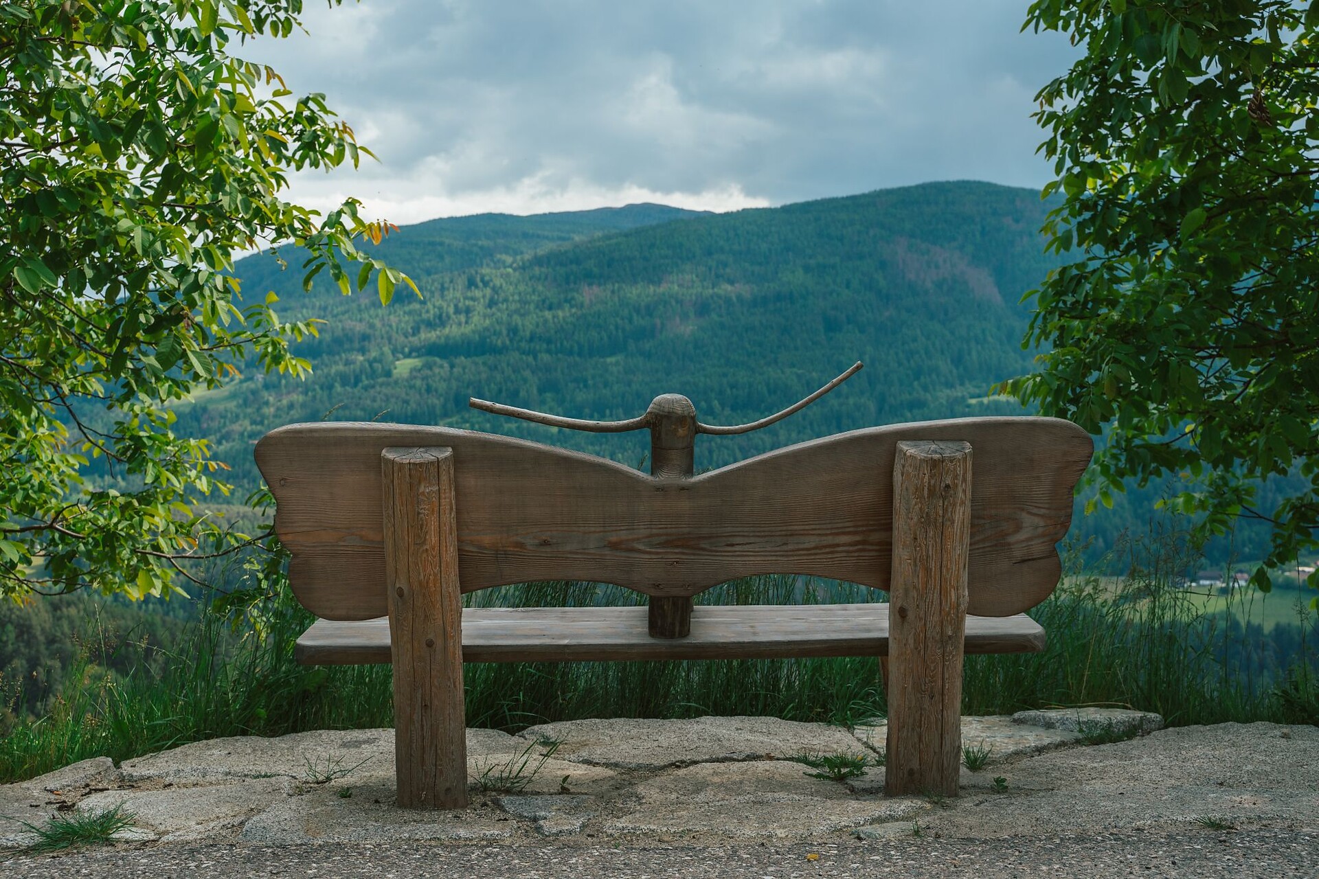 Il sentiero delle farfalle a San Sigismondo  - Regione dolomitica Plan de Corones - #1 - suedtirol.info