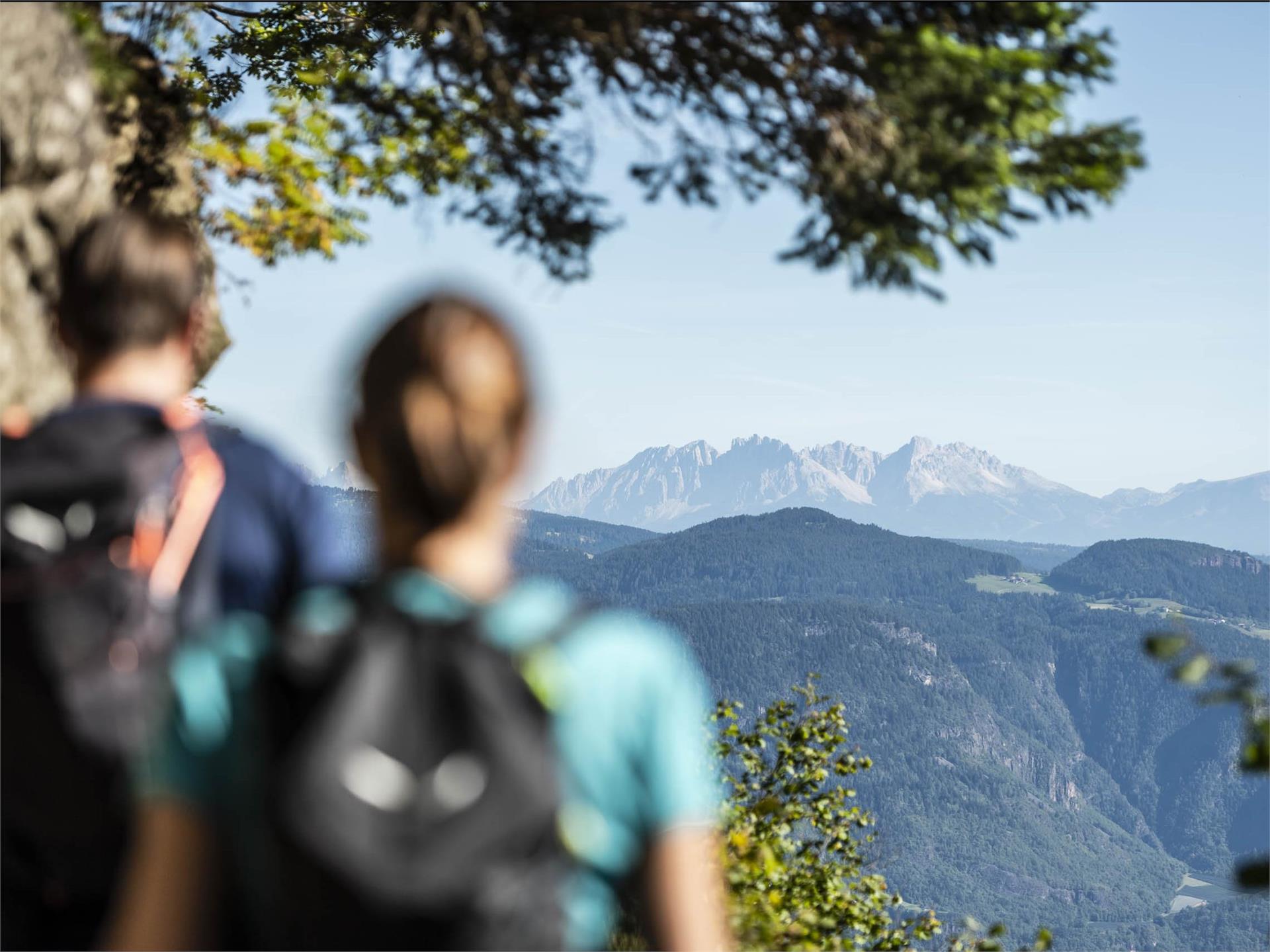 Meraner Höhenweg ab Leiter Alm Algund 3 suedtirol.info