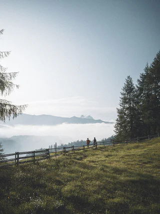 Dreizinnenblick und Kuhglockenidylle -  - #1 - suedtirol.info