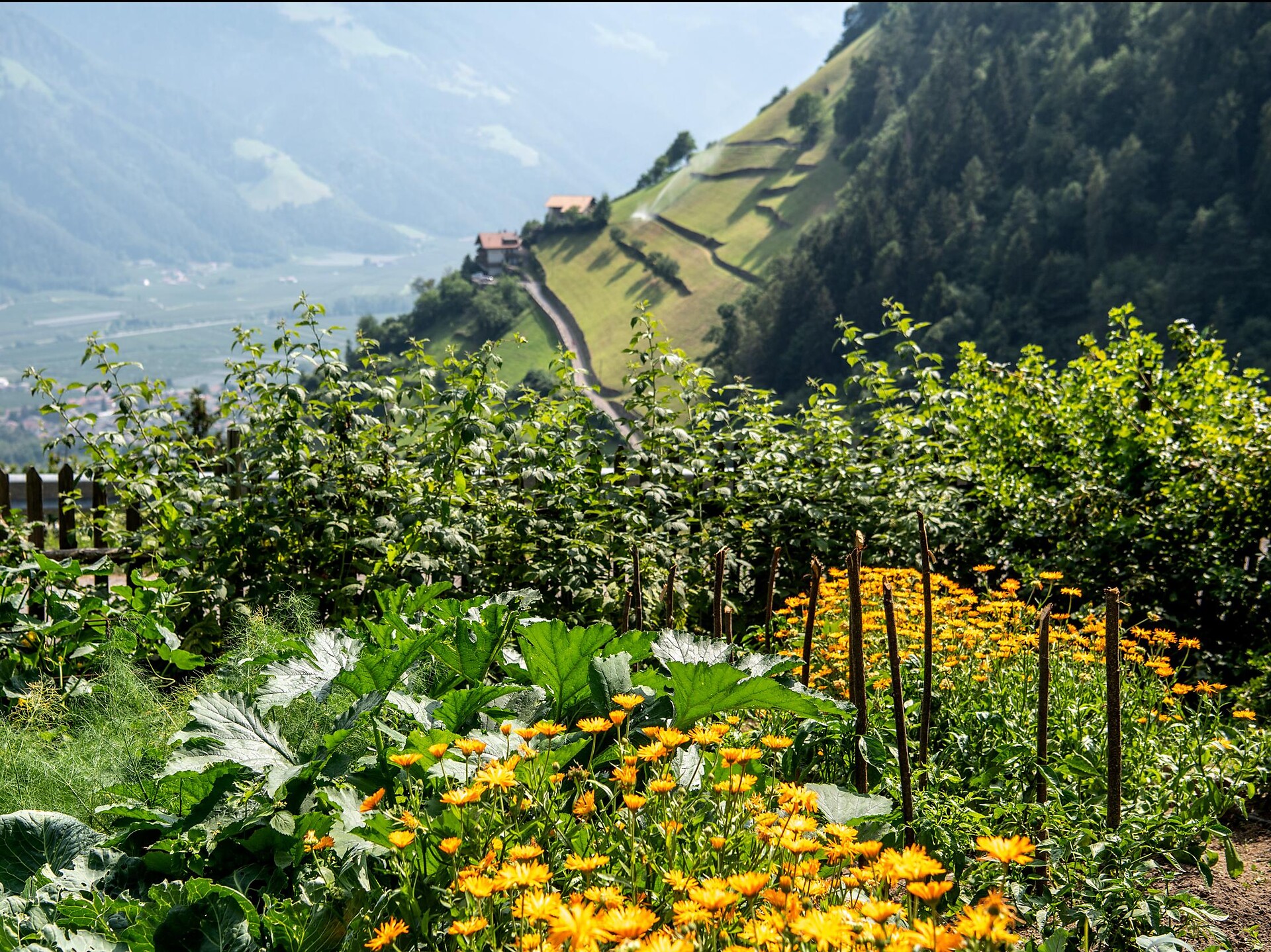 Die historischen Partschinser Bergbauernhöfe Partschins 15 suedtirol.info