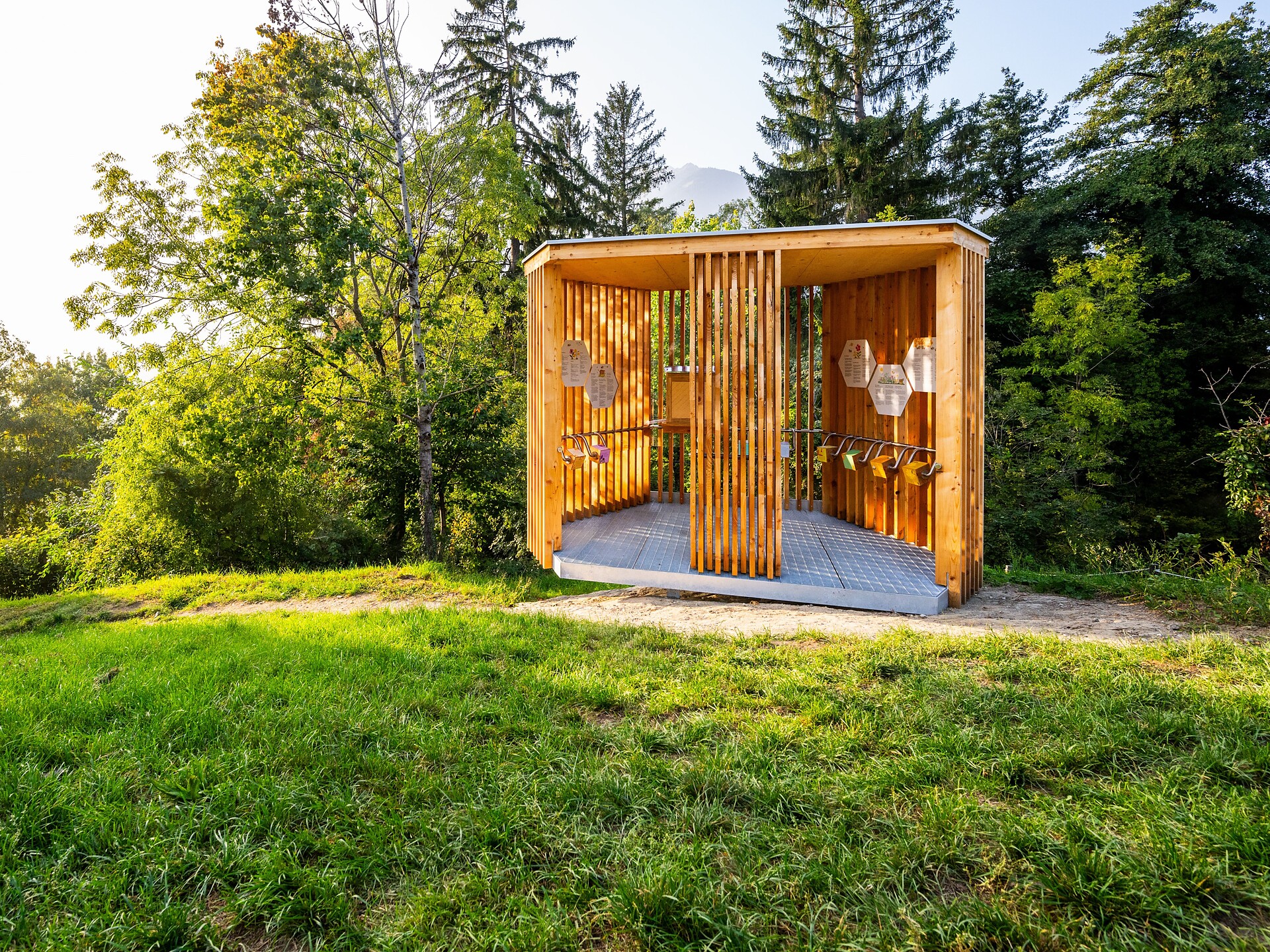 The apple trail