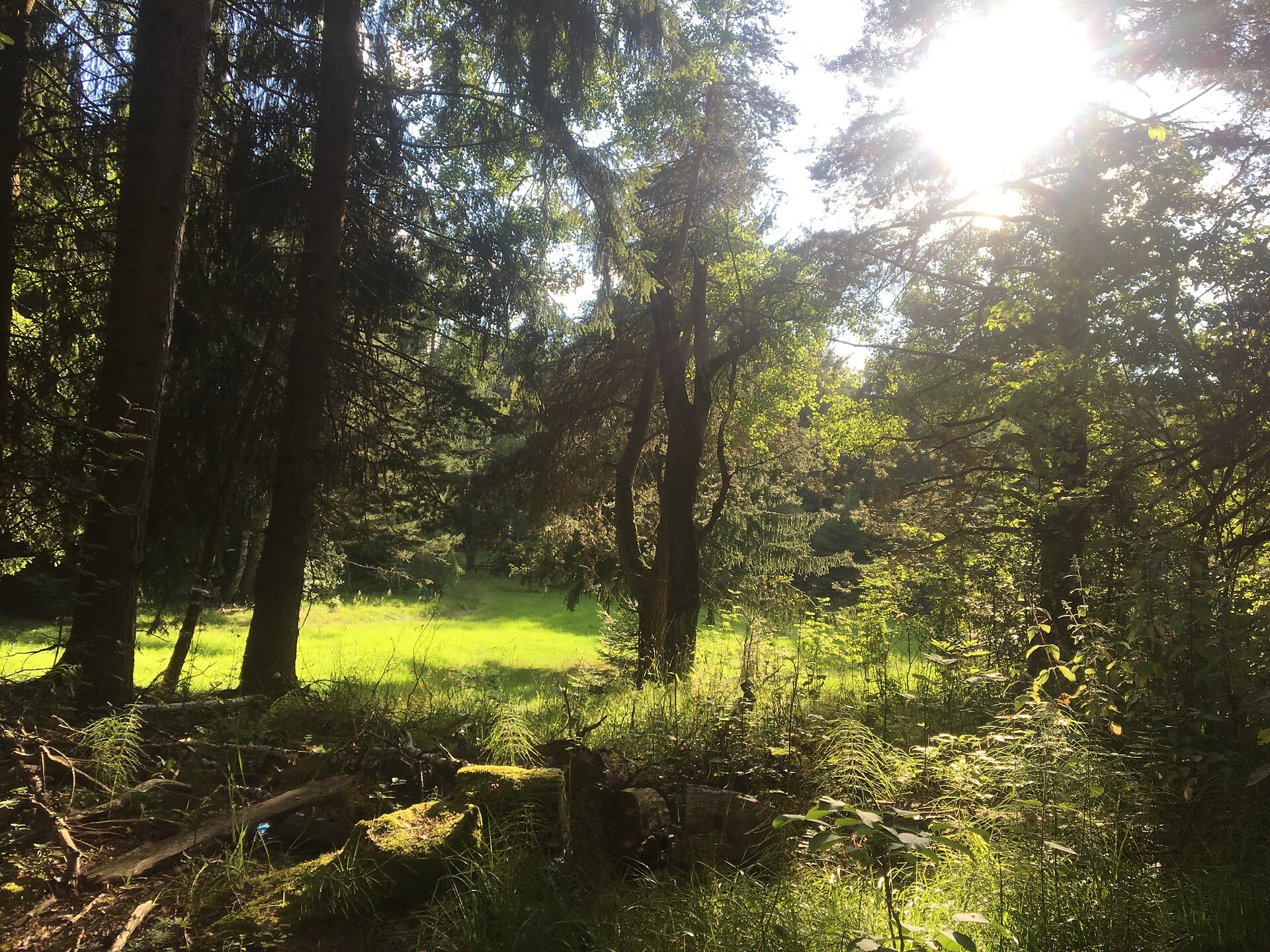 Nature along the way