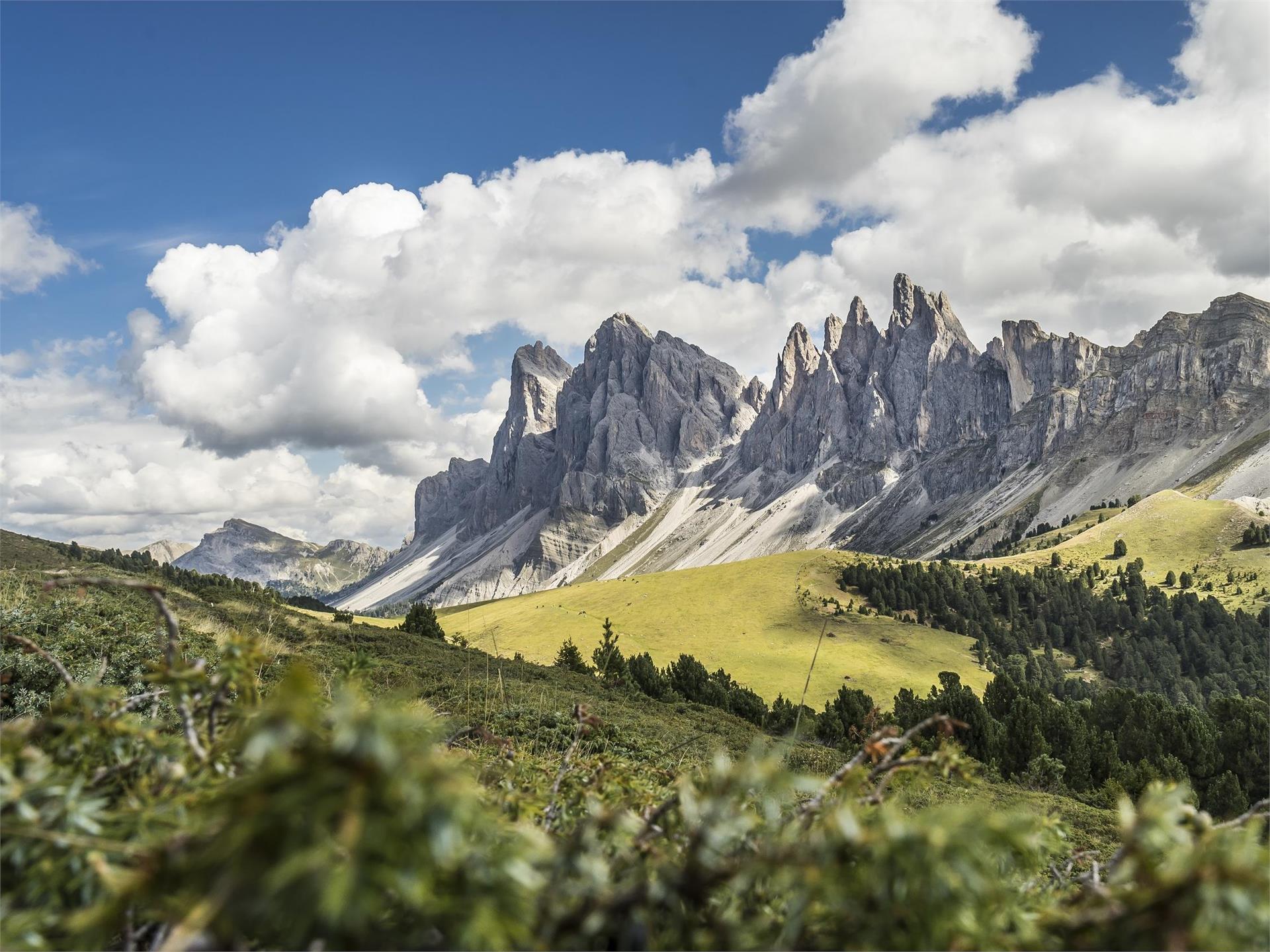 Alta Via delle Dolomiti n. 2 Bressanone 1 suedtirol.info