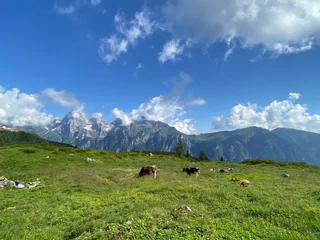 Drei-Almen-Weg - Brenner - #1 - suedtirol.info