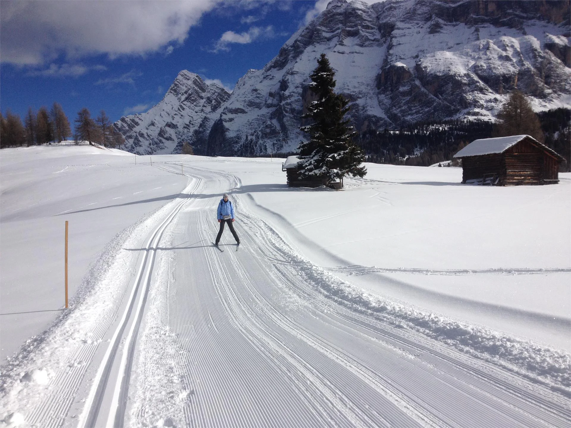 The cross-country skiing trails in the Armentara meadows - Sas dla Crusc La Val 1 suedtirol.info