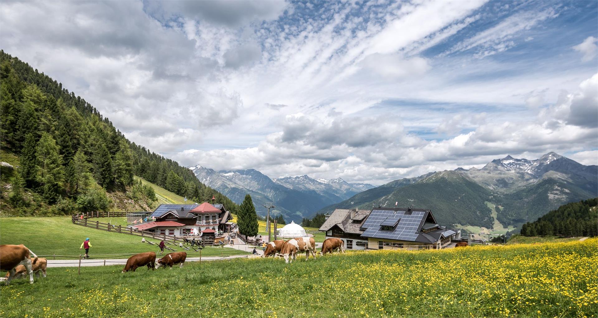 Daimerweg [trail] – Sand in Taufers Sand in Taufers/Campo Tures 5 suedtirol.info