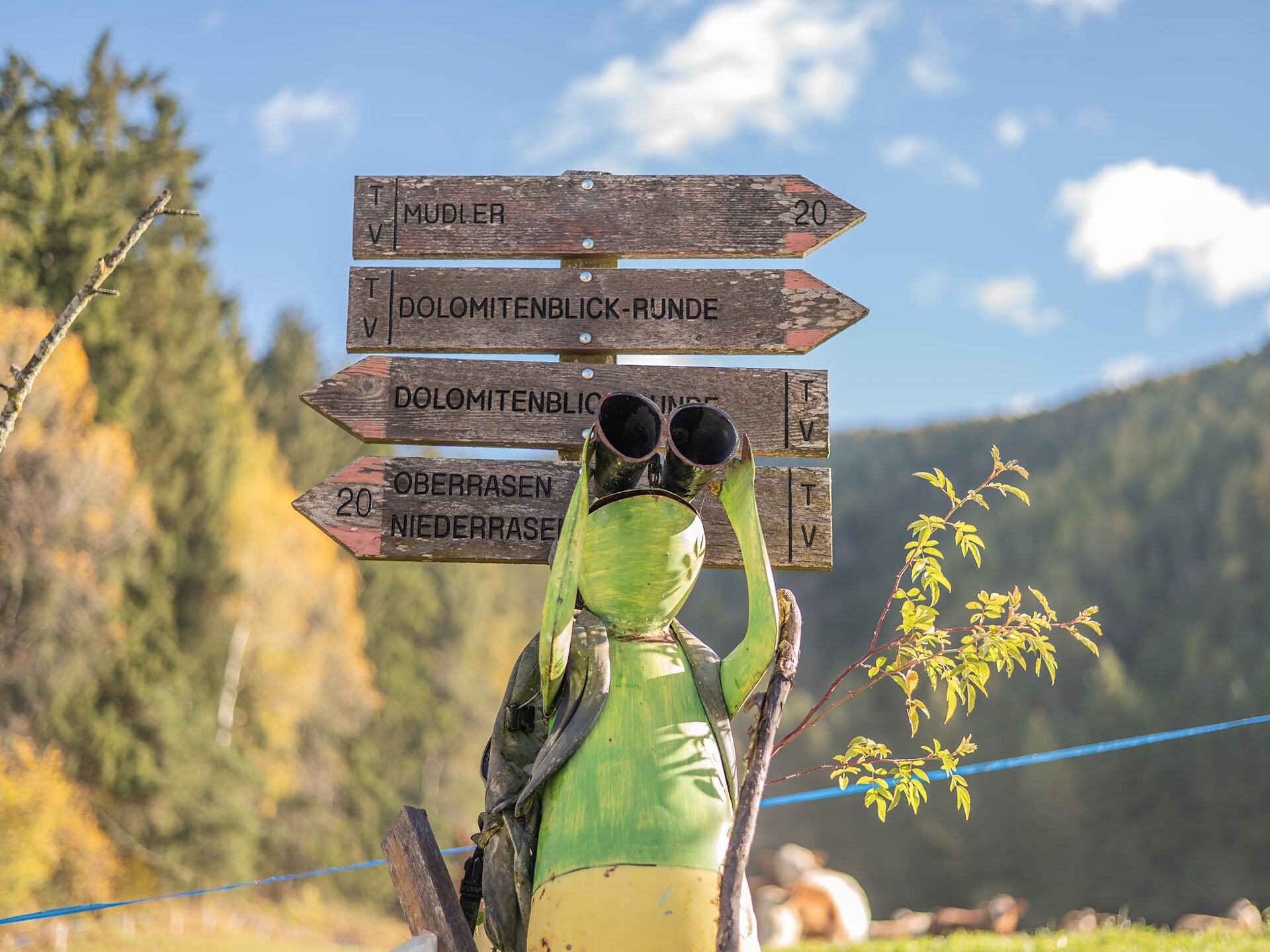 Dolomitenblickrunde - Dolomitenregion Kronplatz - #3 - suedtirol.info