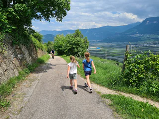 Durch Weinberge von Kurtatsch nach Tramin - Kurtatsch an der Weinstraße - #2 - suedtirol.info