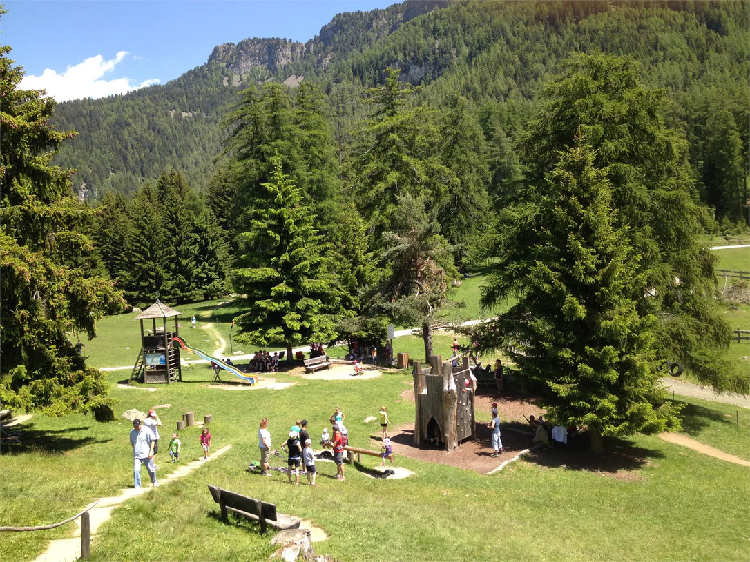 The Witches’ Chairs and the Marinzen Alpine pasture