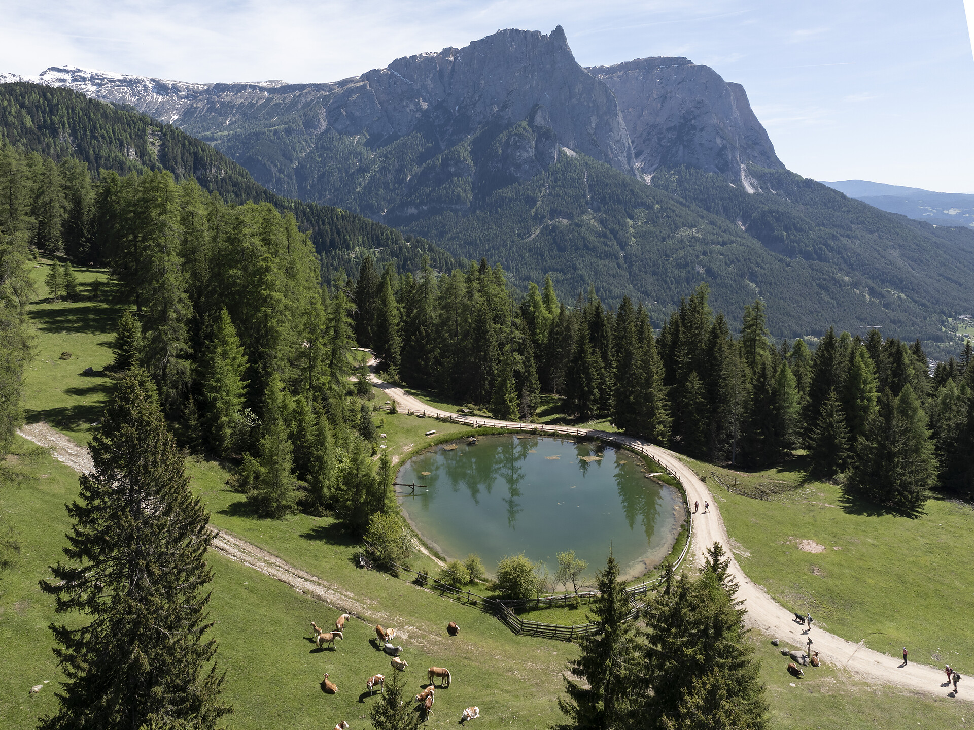 Le Sedie delle Streghe e l'Alpe di Marinzen - Regione dolomitica Alpe di Siusi - #4 - suedtirol.info