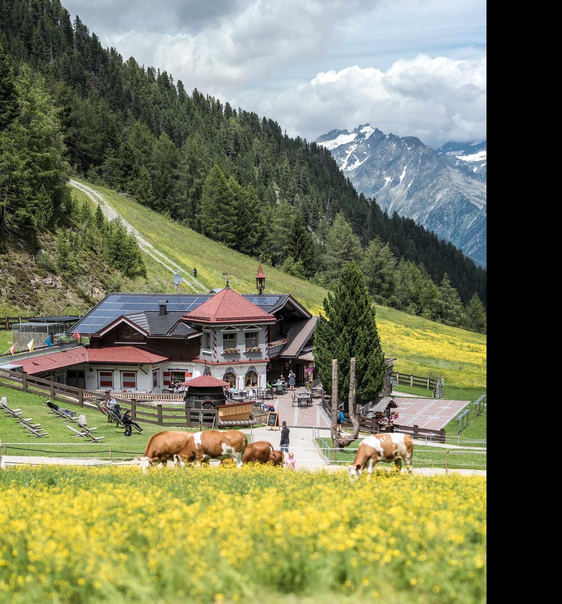 Daimerweg – Kellerbauerweg – Nevesjoch / Chemnitzerhütte Sand in Taufers 4 suedtirol.info