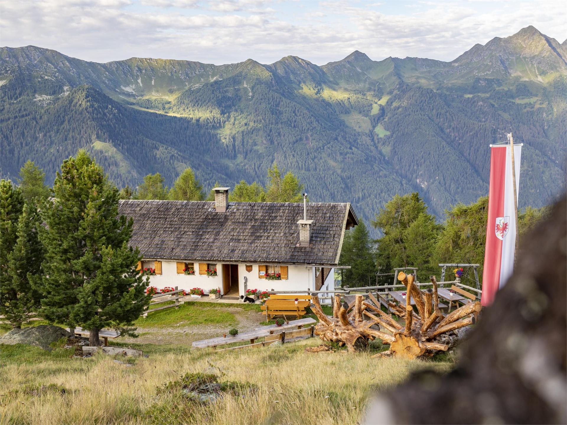 Daimerweg – Kellerbauerweg – Mühlwalder Jöchl – Weizgruber Alm – Mühlwald (Pietersteiner Alm) – Mühlen in Taufers Sand in Taufers 1 suedtirol.info