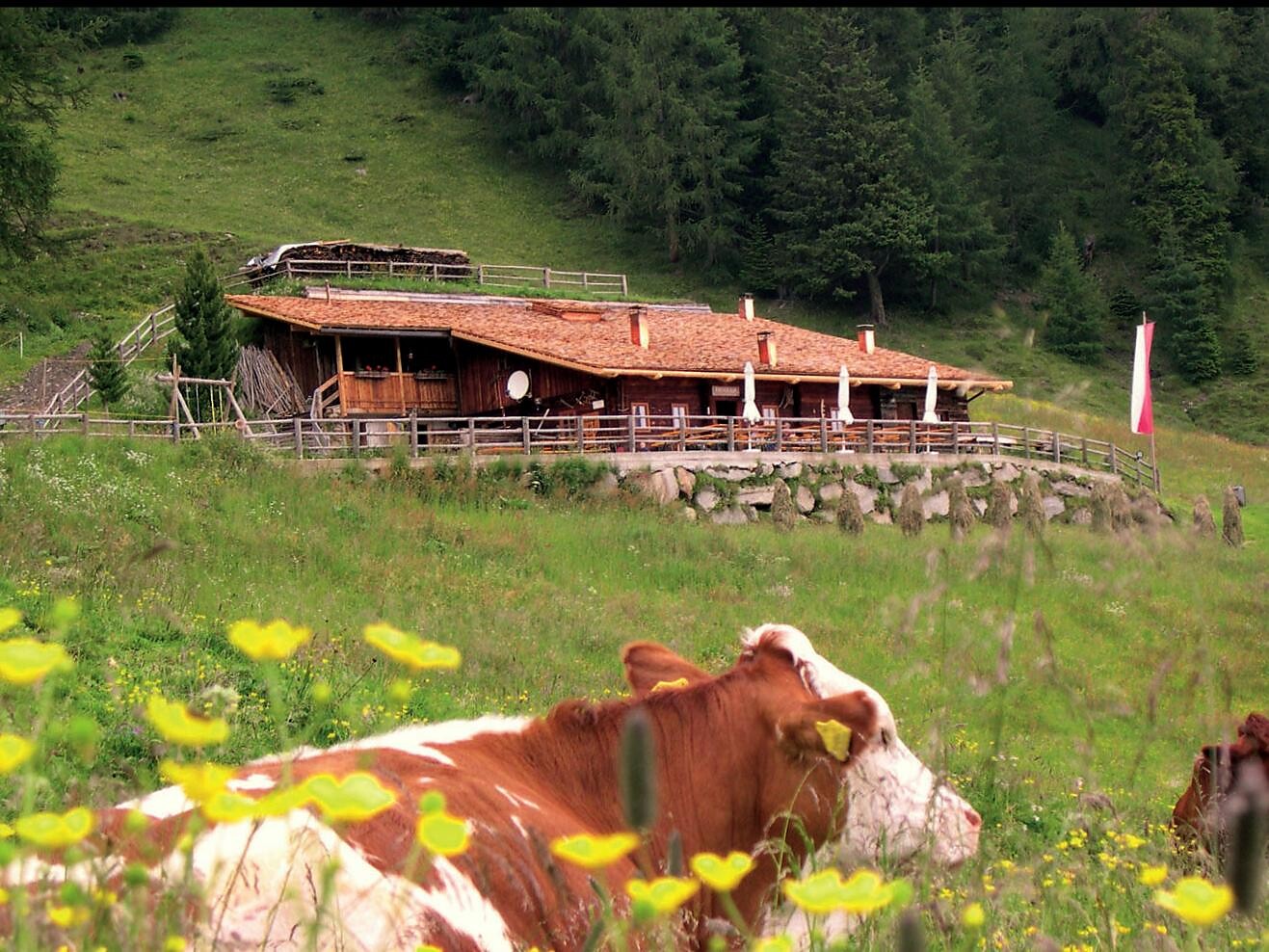 Pircher Alm | Hiking area Speikboden