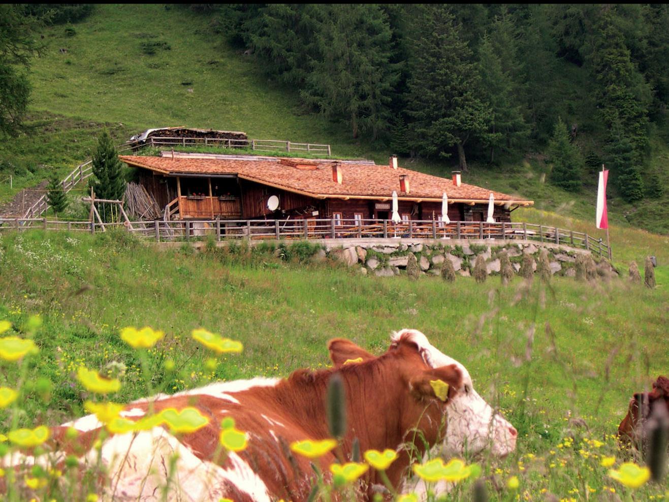 Daimerweg – Kellerbauerweg – Gorner Joch – Pircher Alm (bewirtschaftet) – Weißenbach Sand in Taufers 1 suedtirol.info