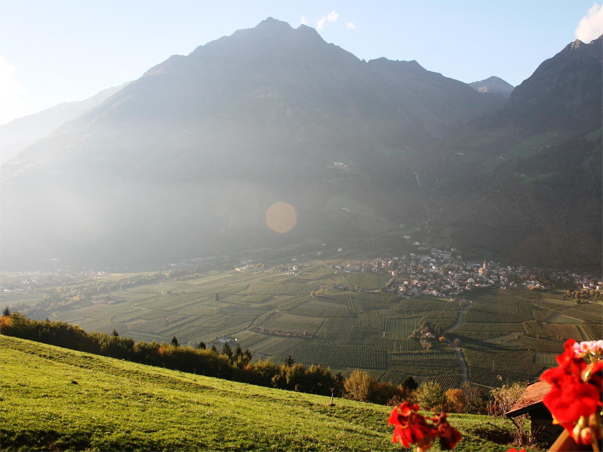 Discover the "Partschinser Nörderberg" Partschins/Parcines 3 suedtirol.info