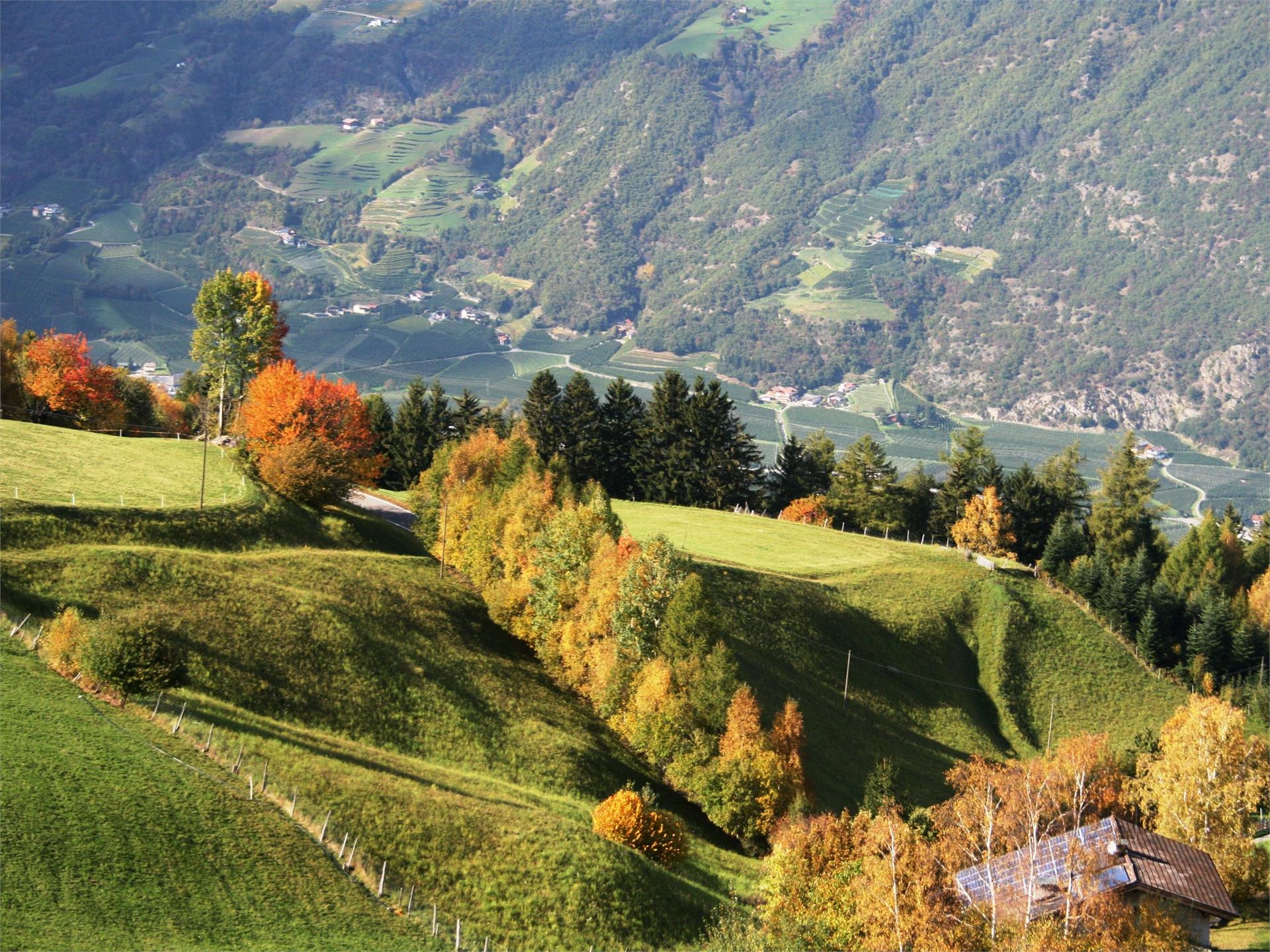 Discover the "Partschinser Nörderberg" Partschins/Parcines 2 suedtirol.info