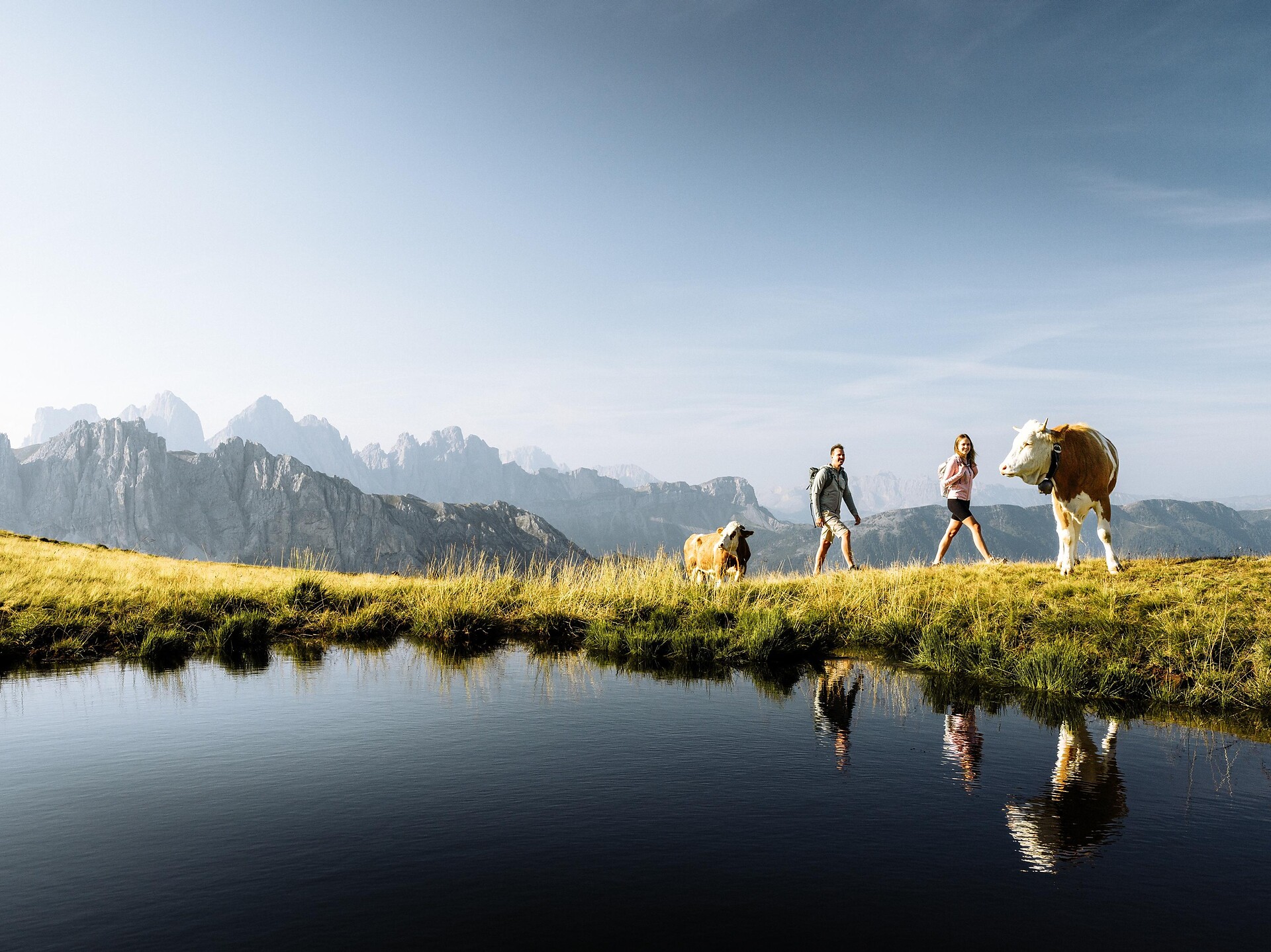 Dolomiten-Panoramaweg auf der Plose - Brixen und Umgebung - #1 - suedtirol.info