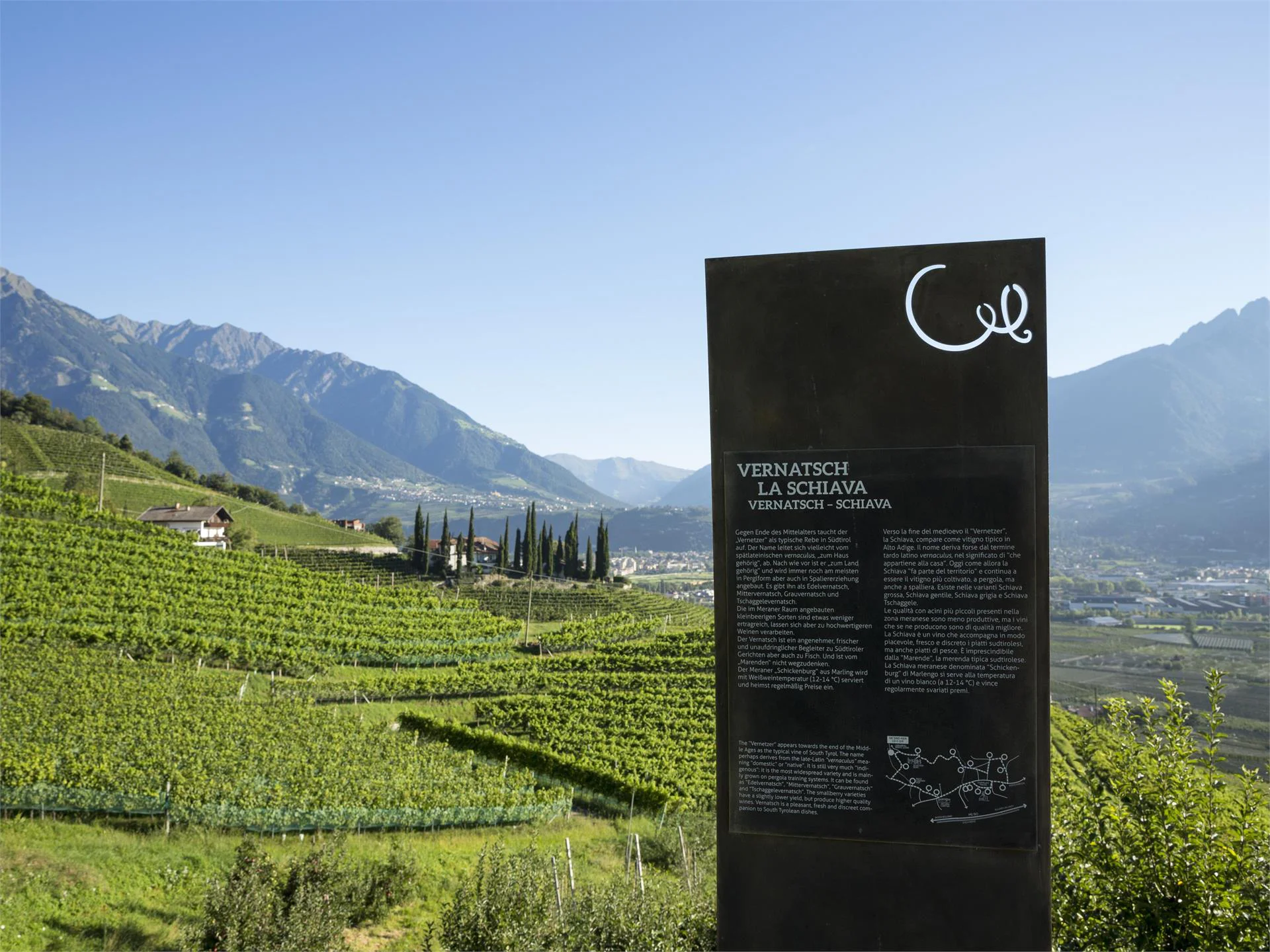 The WineCulturePath Marling/Marlengo 5 suedtirol.info