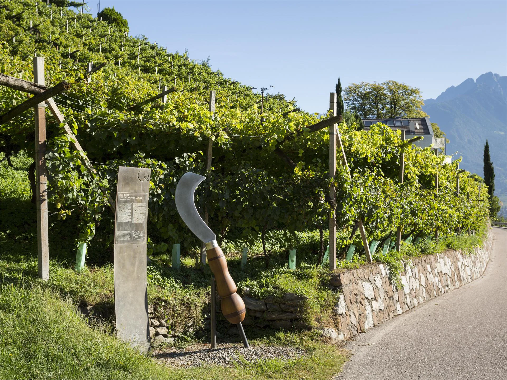 The WineCulturePath Marling/Marlengo 6 suedtirol.info