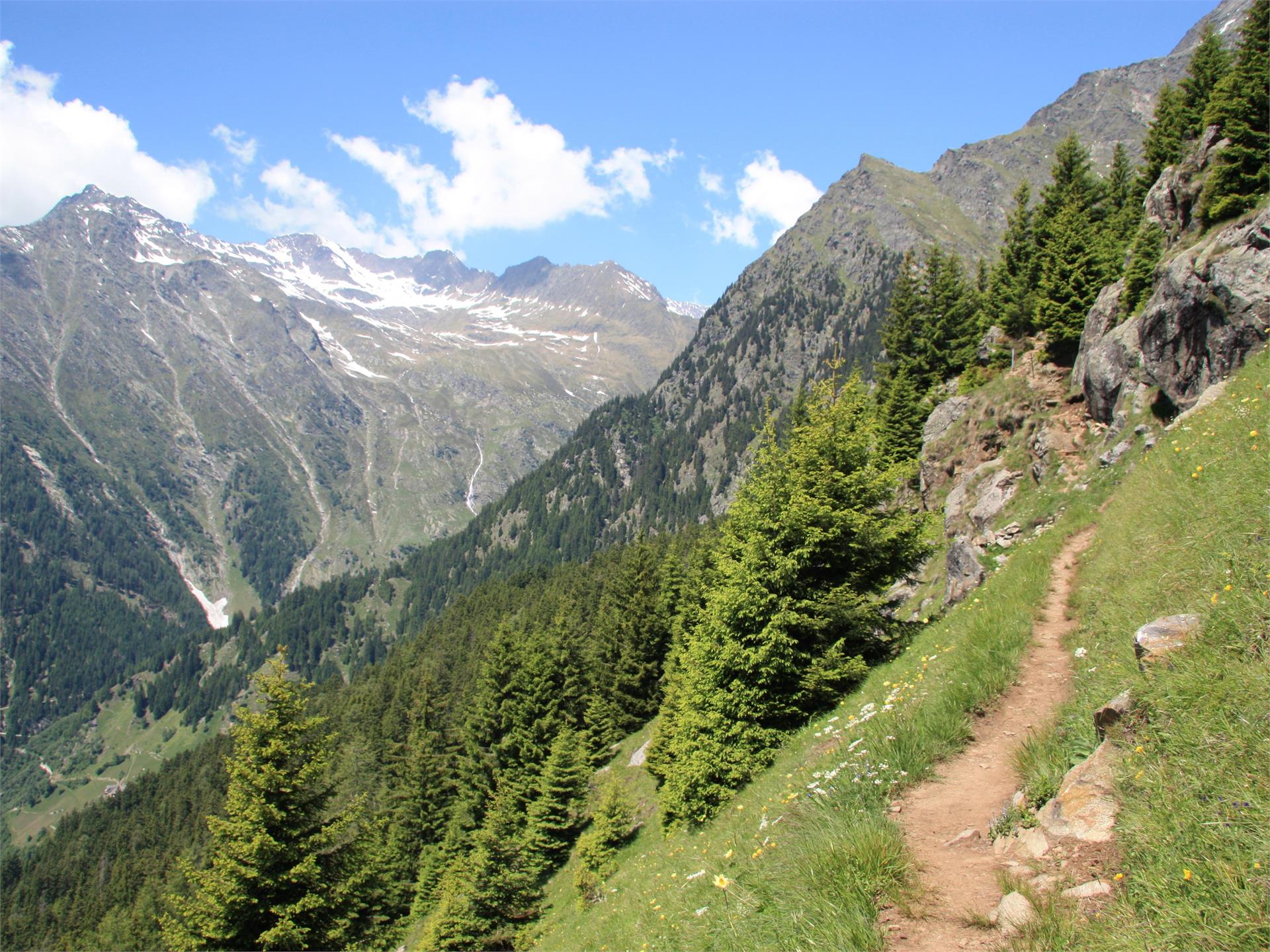 Merano High Mountain Trail - Hochmuth - Giggelberg Partschins/Parcines 7 suedtirol.info