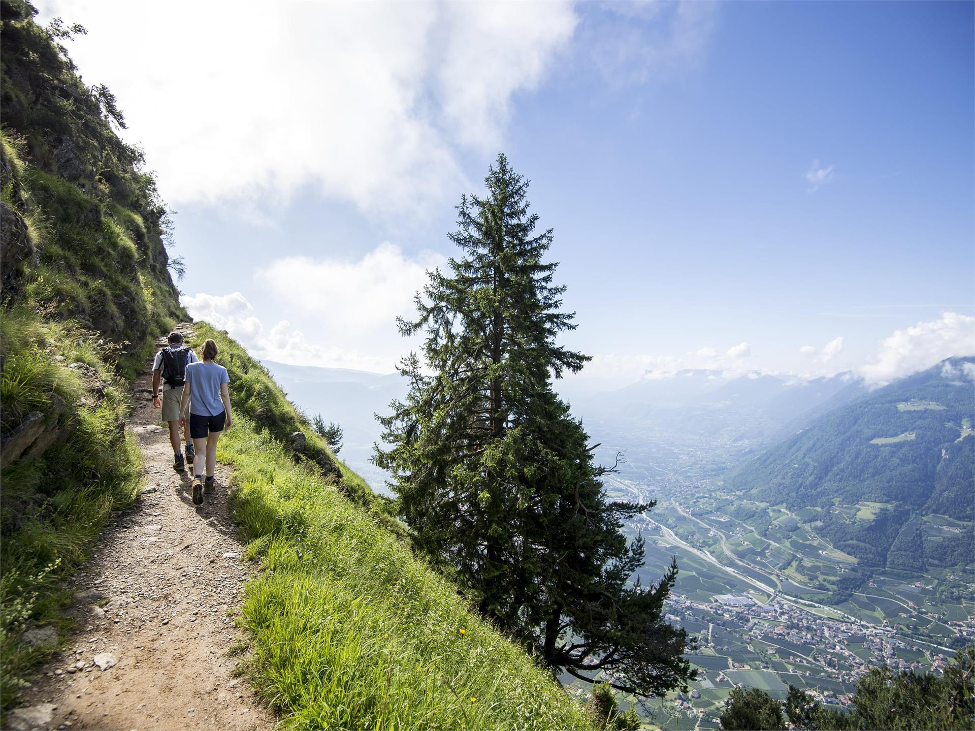 Merano High Mountain Trail - Hochmuth - Giggelberg Partschins/Parcines 4 suedtirol.info